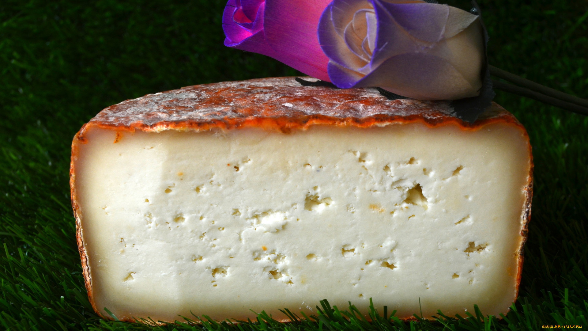 еда, сырные, изделия, сыр