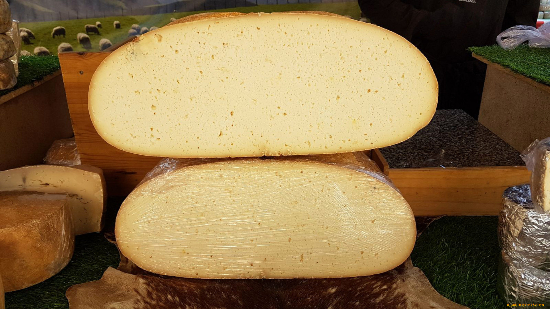 еда, сырные, изделия, сыр