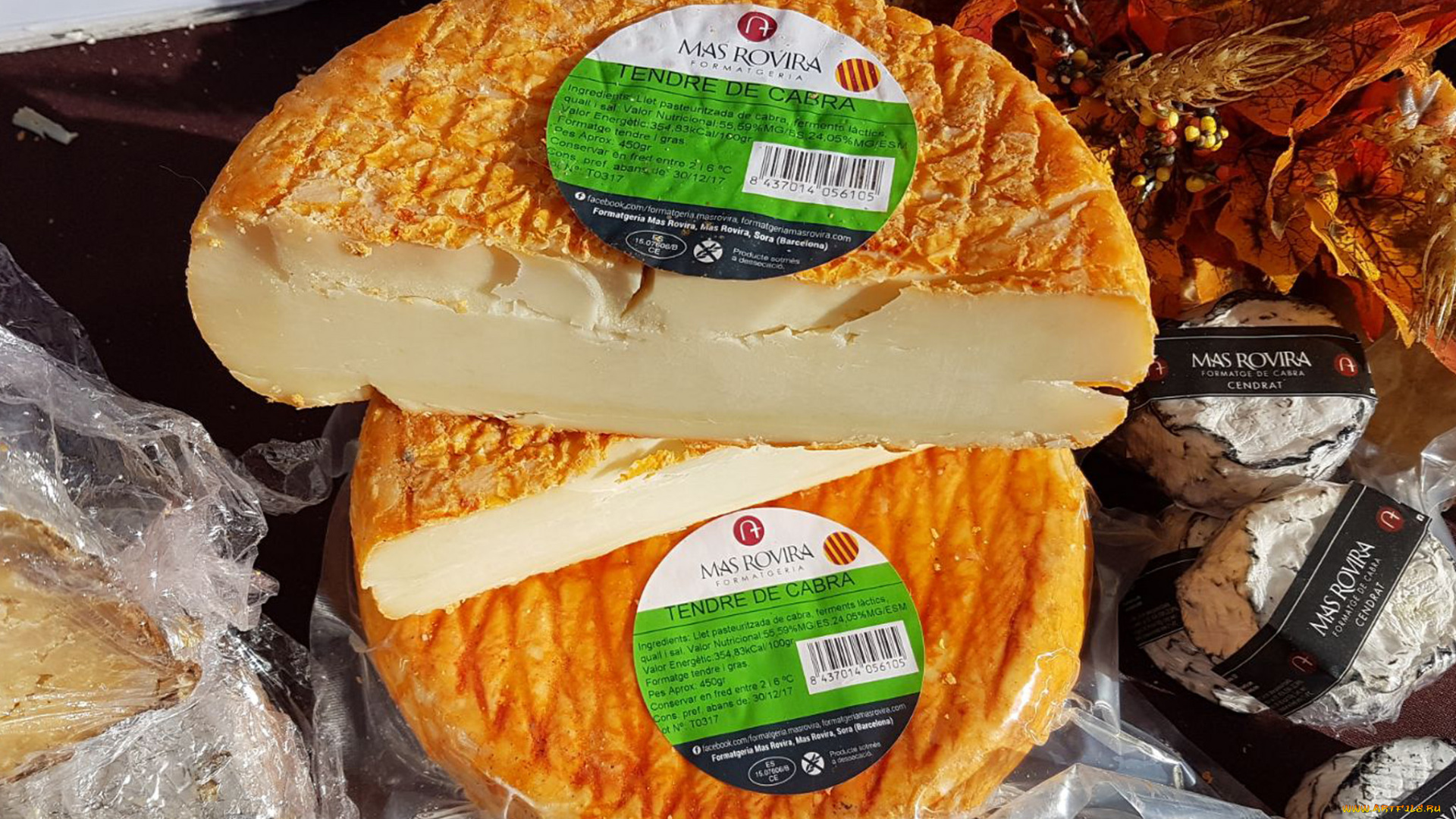 еда, сырные, изделия, сыр