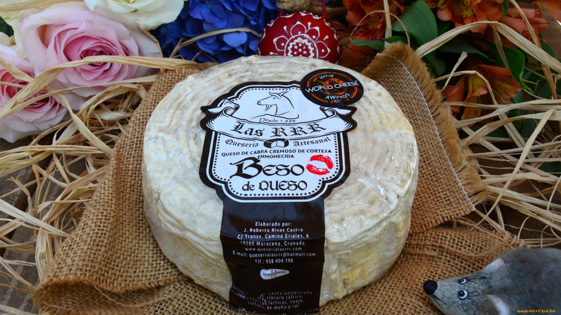 еда, сырные, изделия, сыр