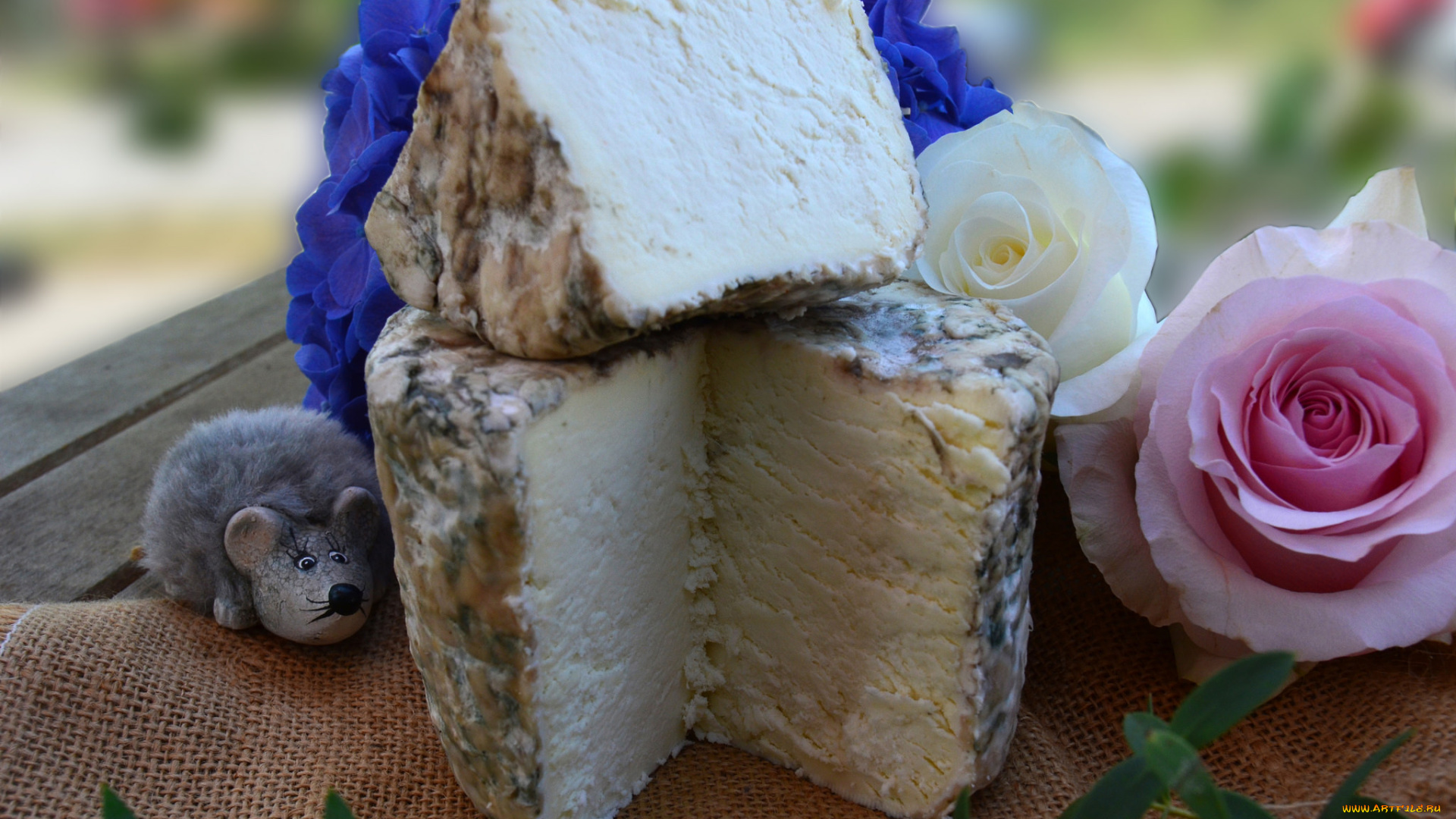 еда, сырные, изделия, сыр