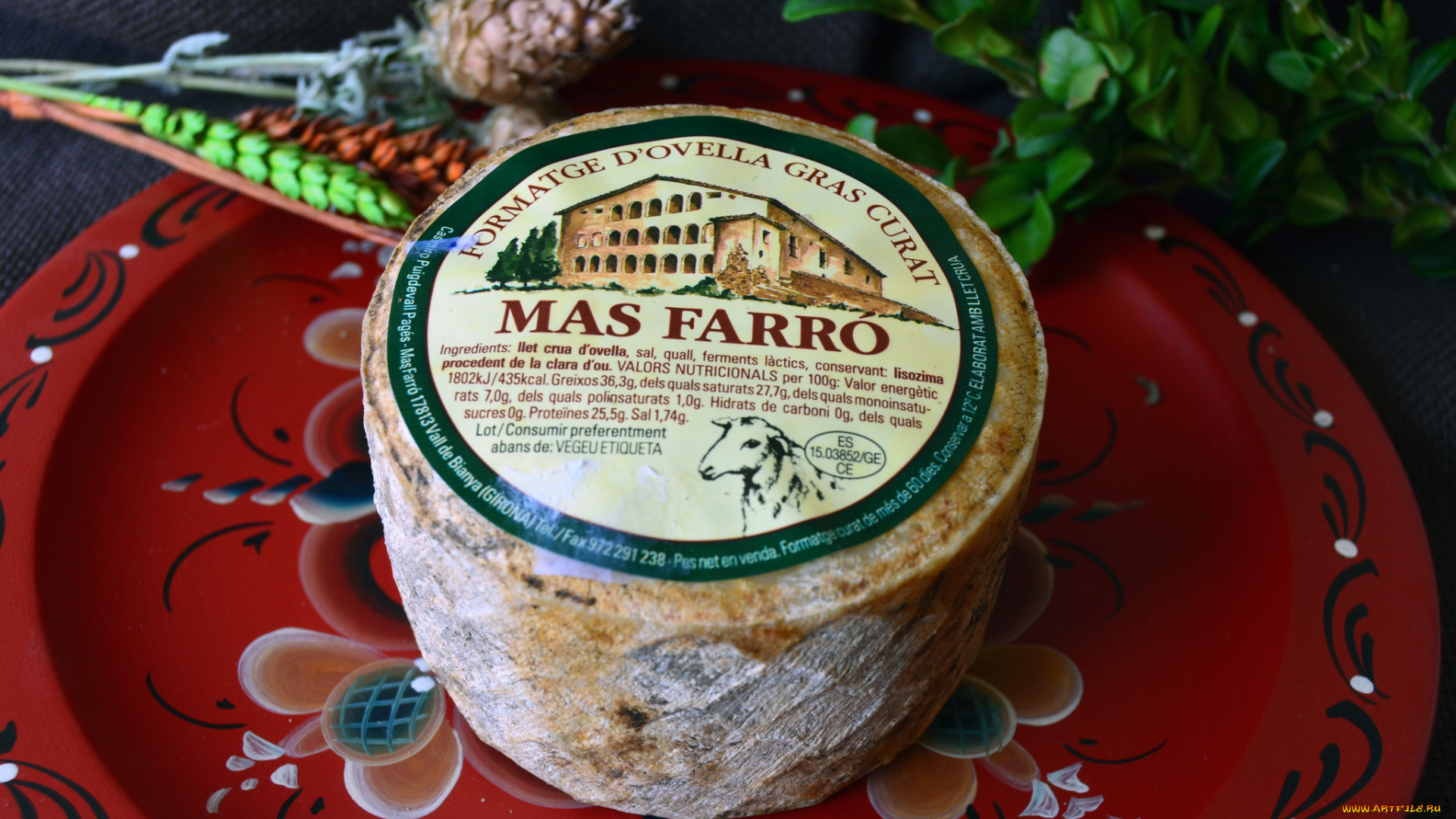 еда, сырные, изделия, сыр