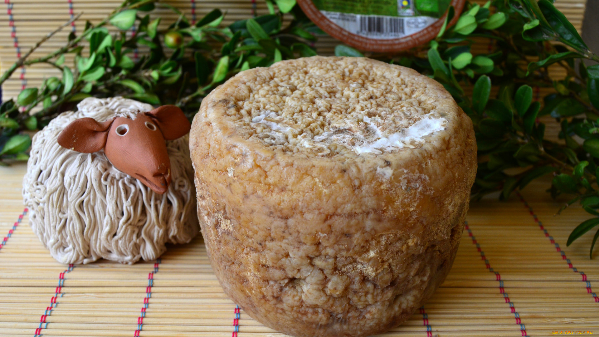 еда, сырные, изделия, сыр