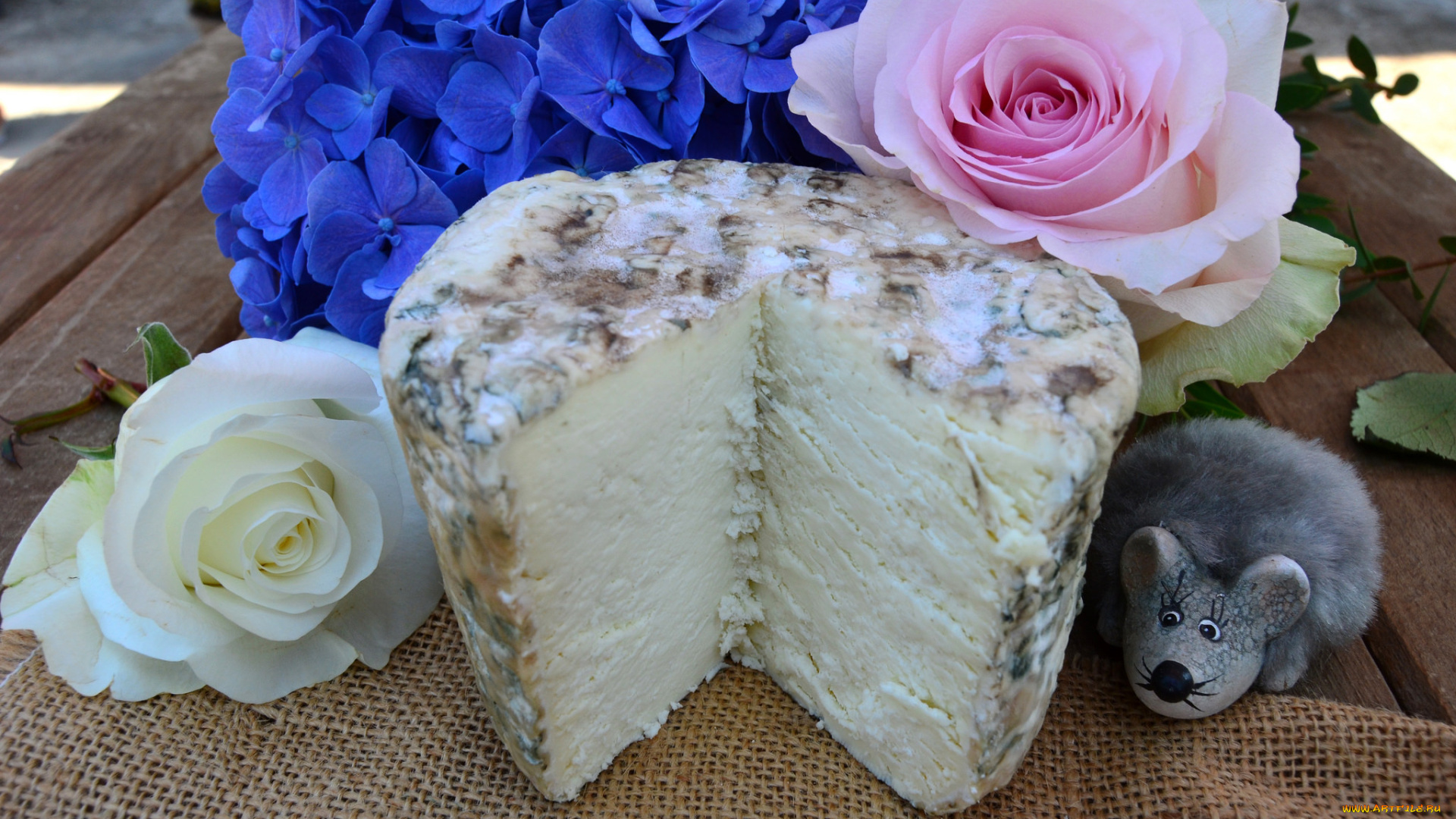 еда, сырные, изделия, сыр