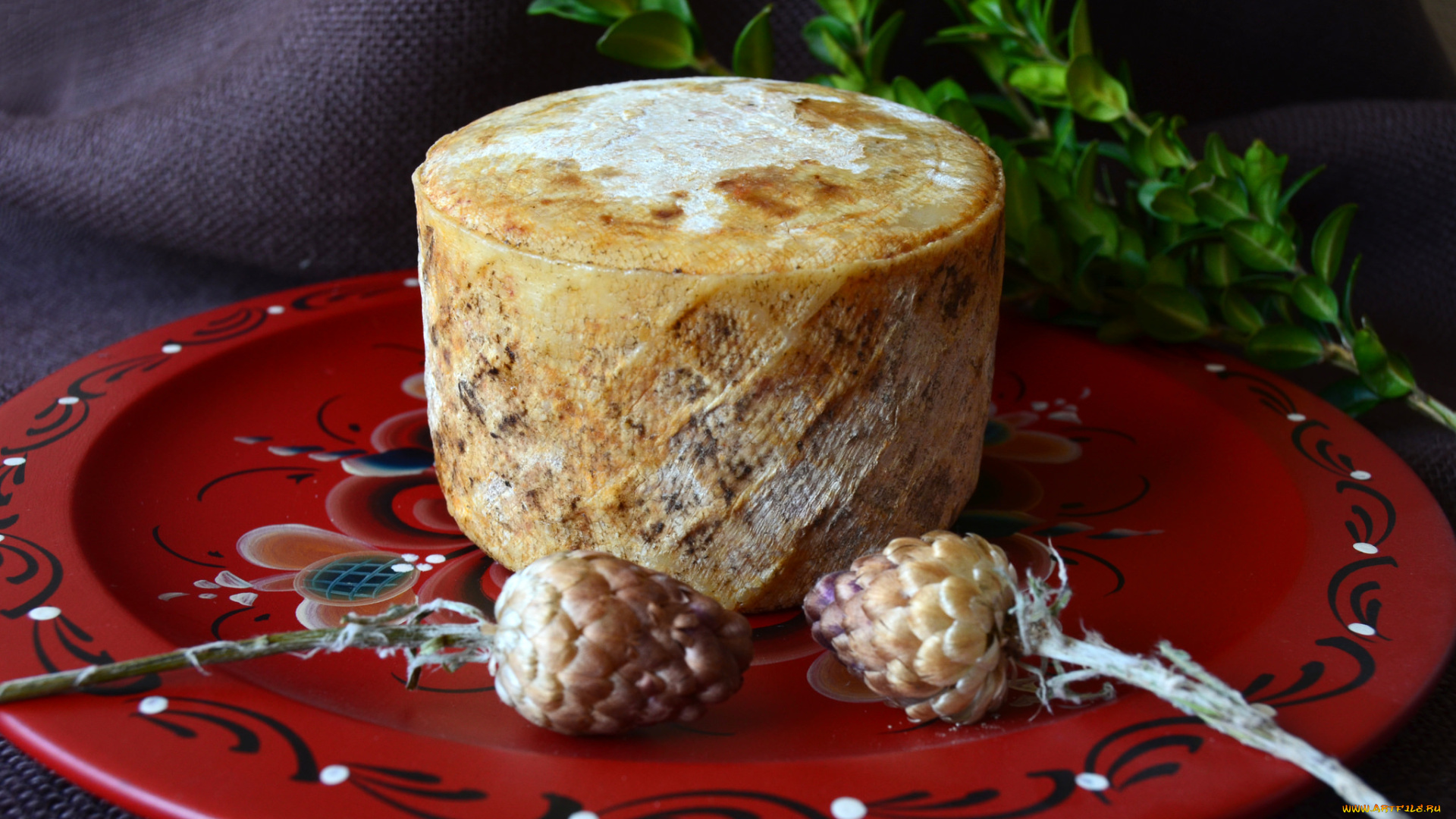 еда, сырные, изделия, сыр