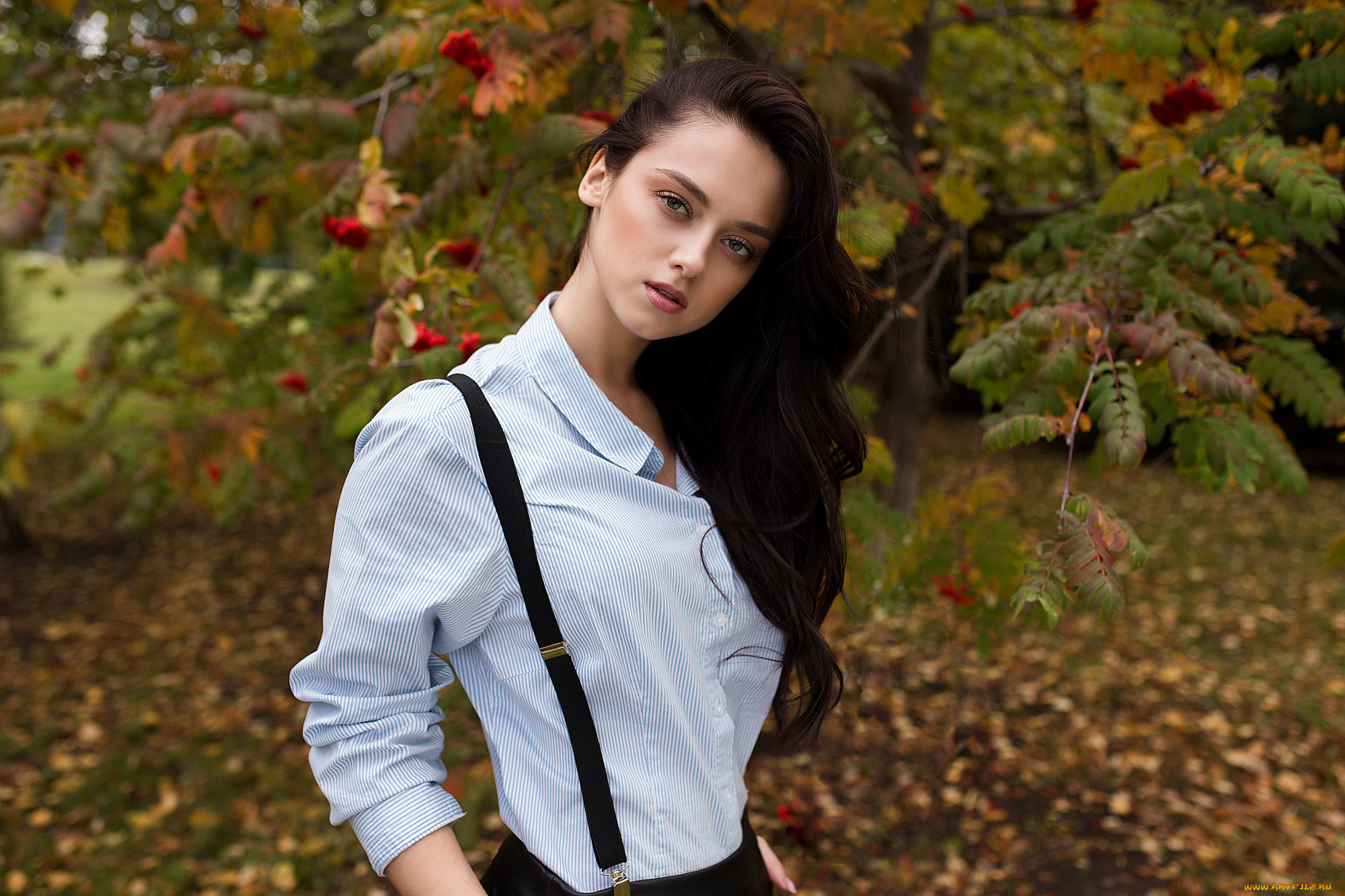 девушка, девушки, -unsort, , брюнетки, темноволосые, модель