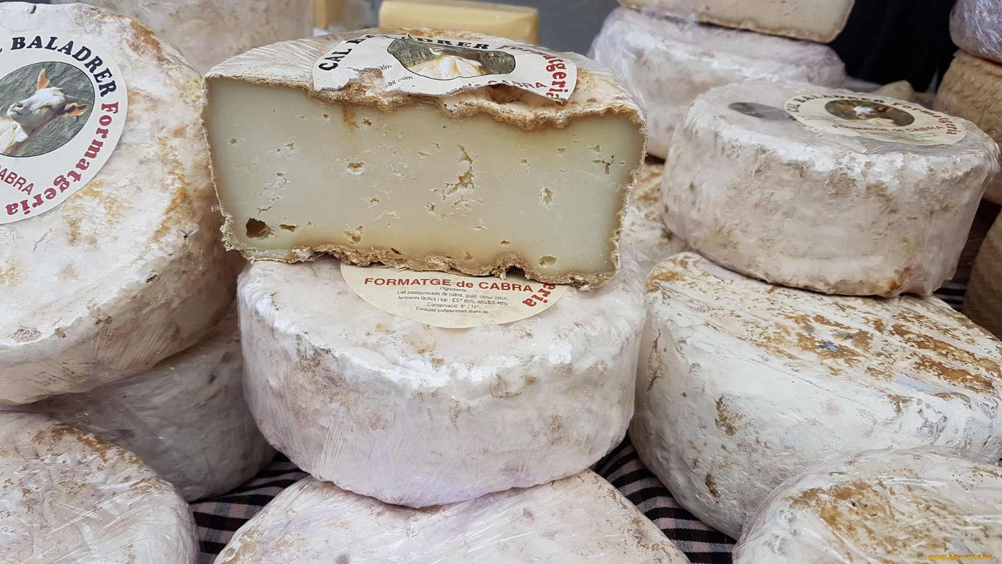 еда, сырные, изделия, сыр