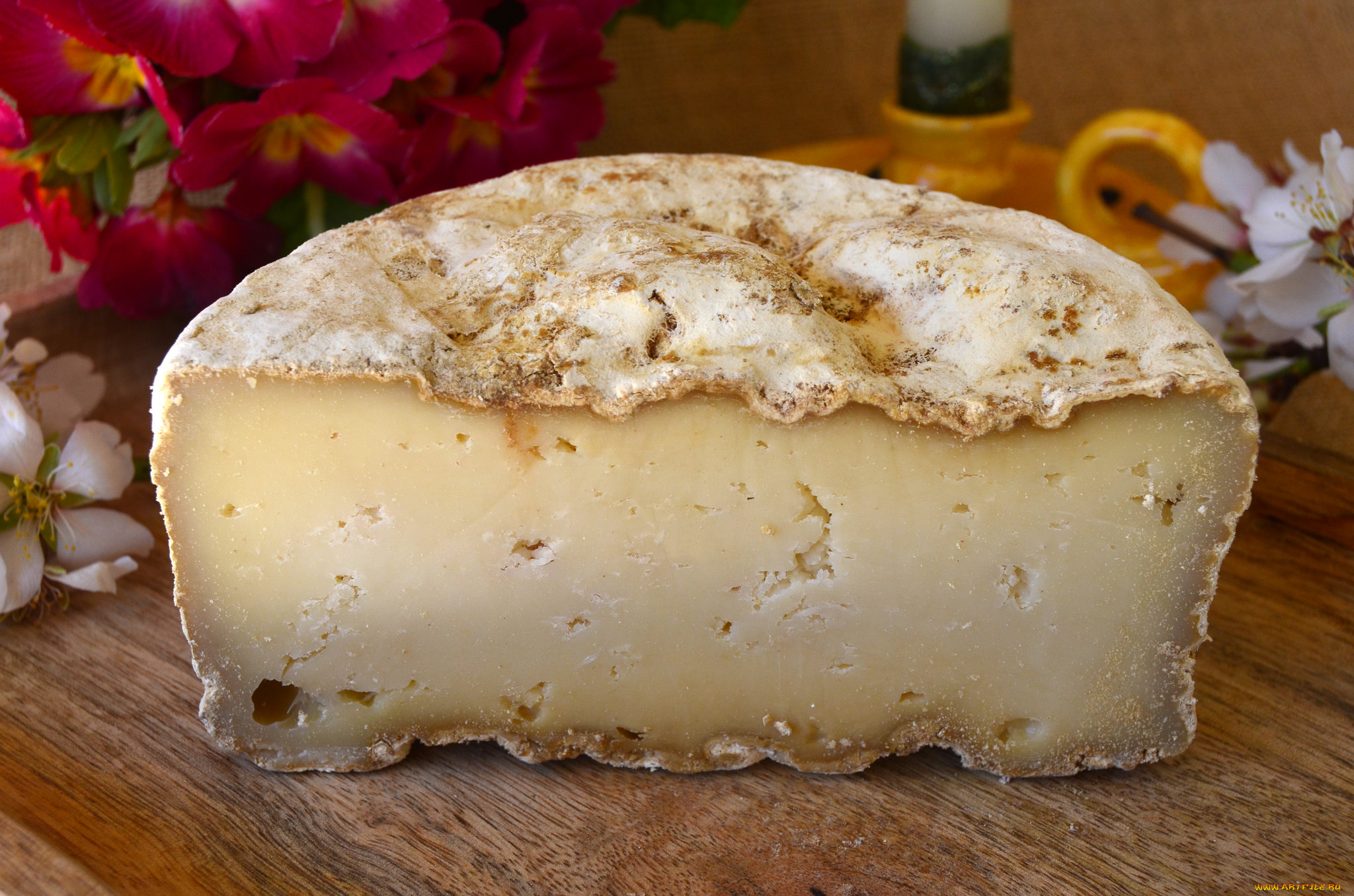 еда, сырные, изделия, сыр