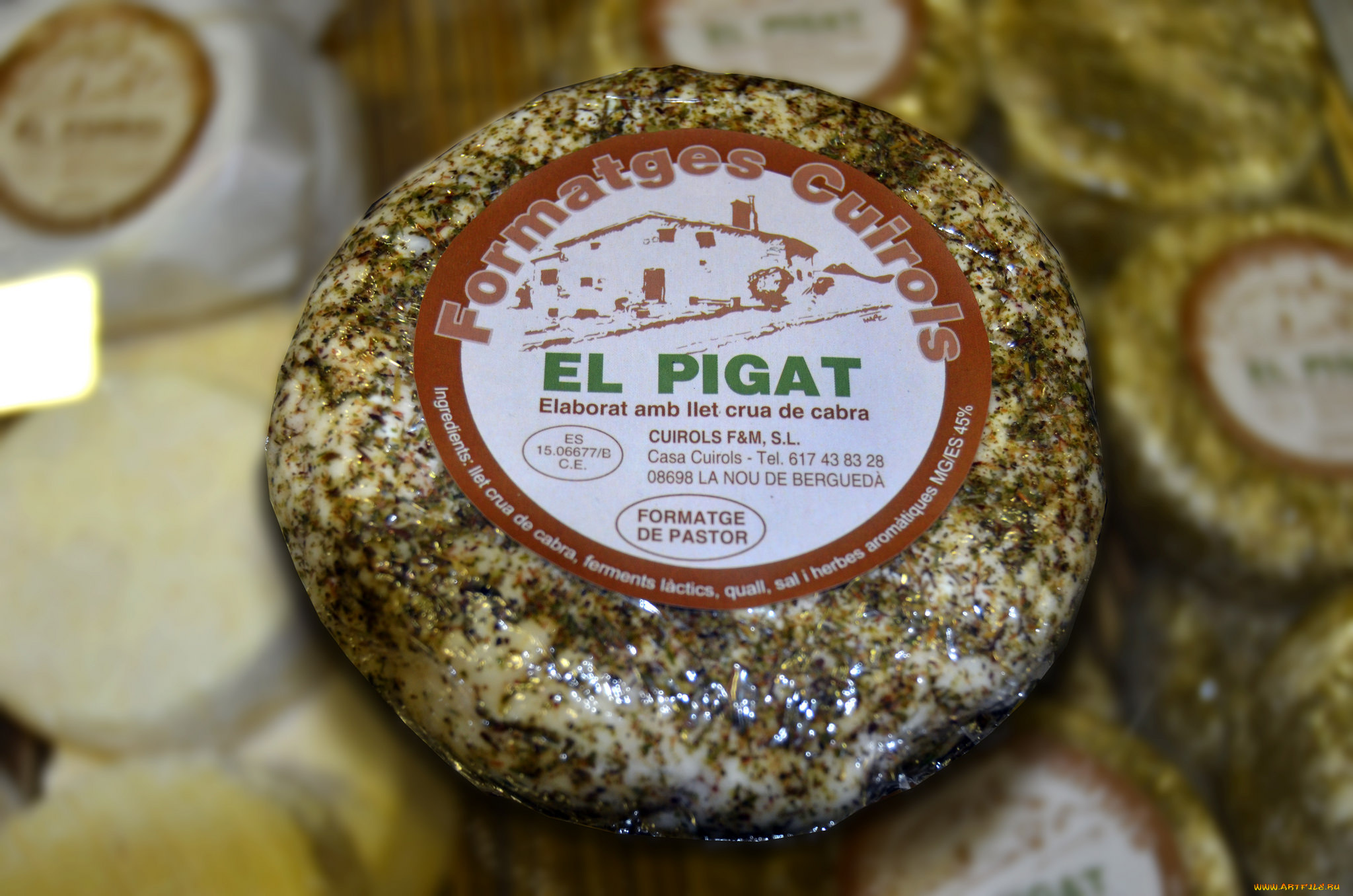 еда, сырные, изделия, сыр