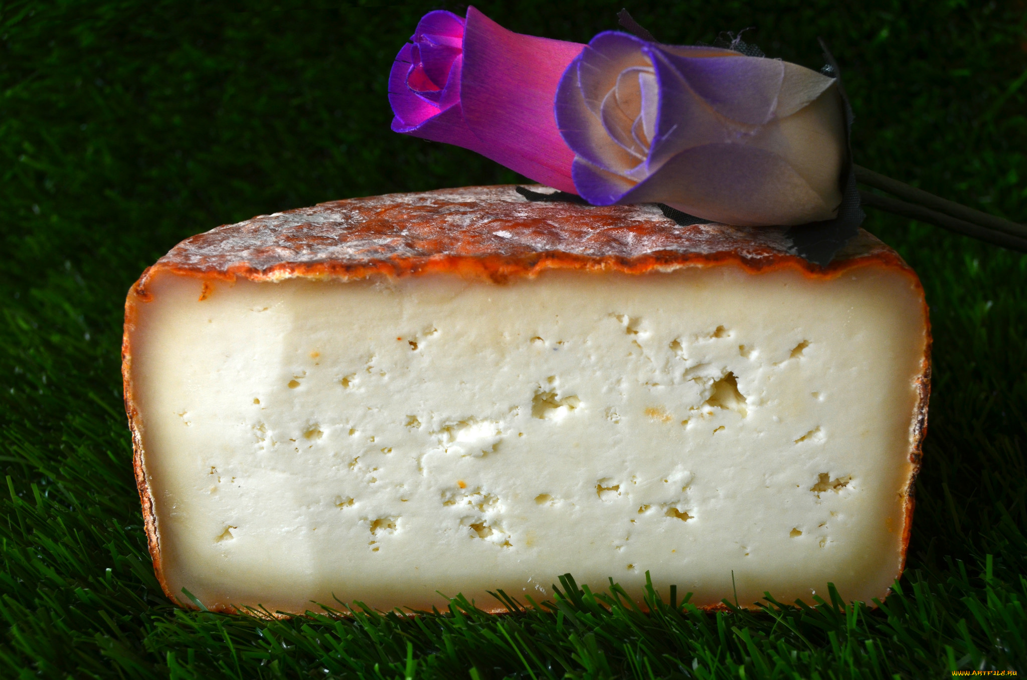 еда, сырные, изделия, сыр