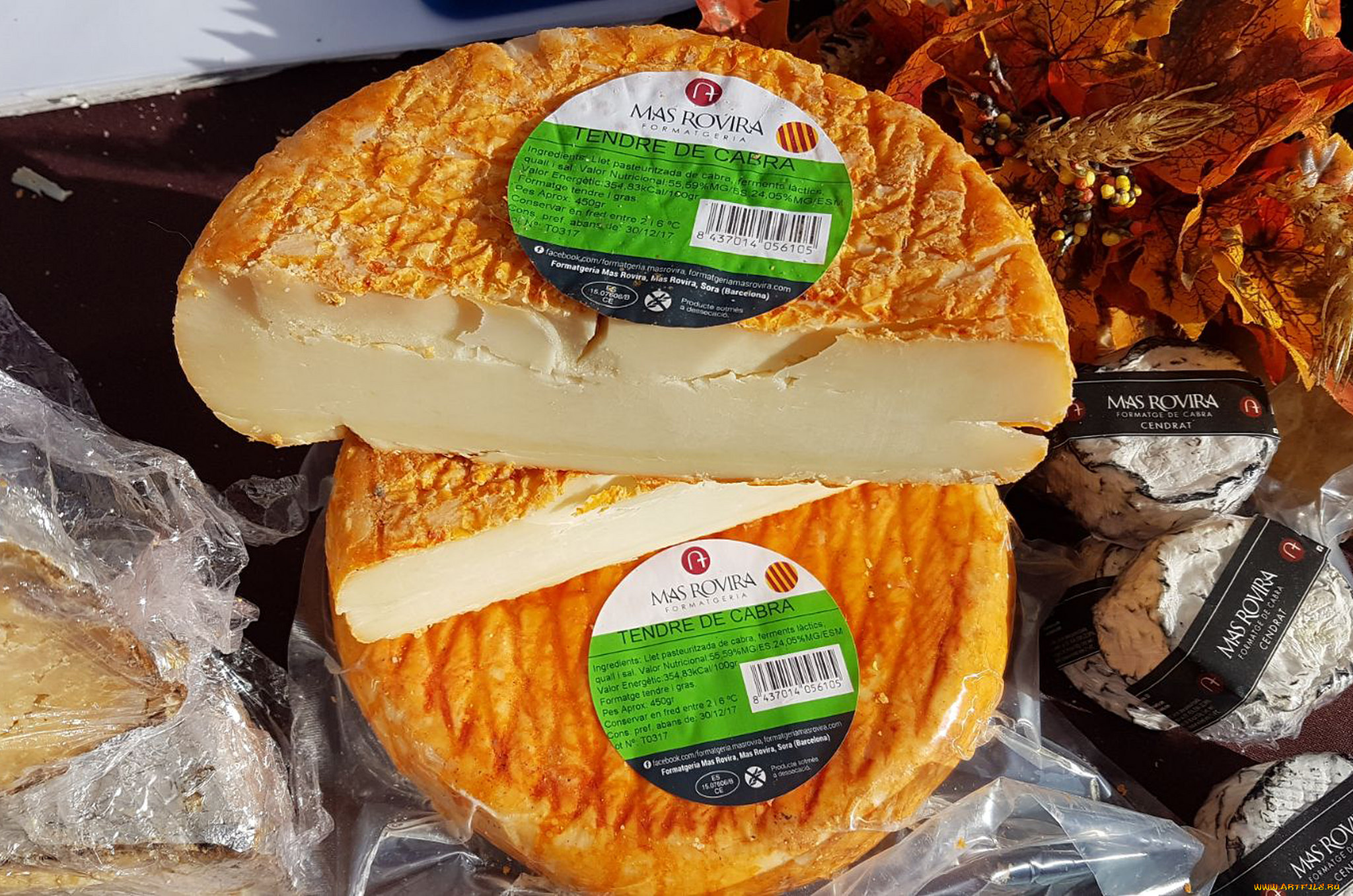 еда, сырные, изделия, сыр