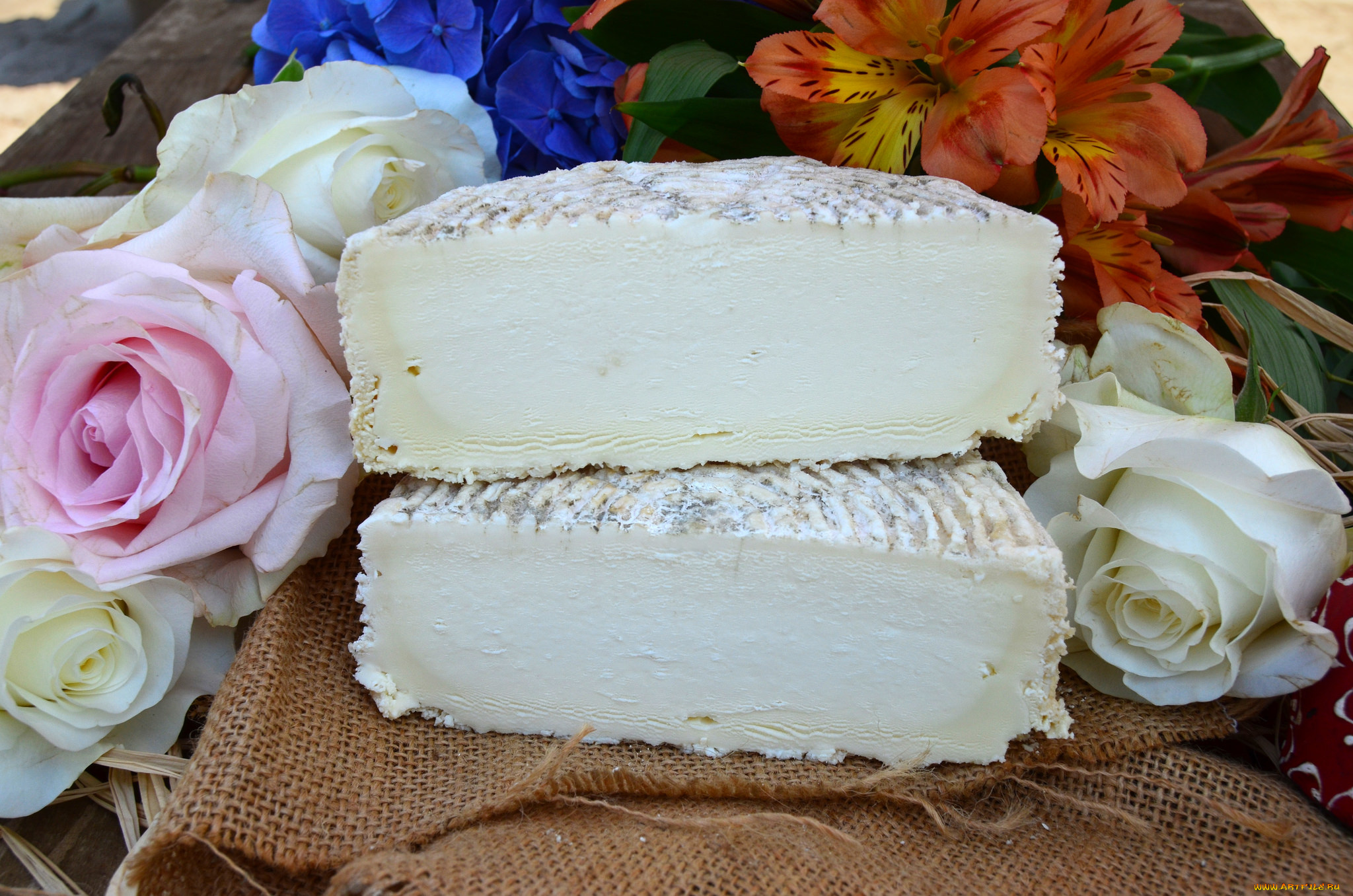 еда, сырные, изделия, сыр