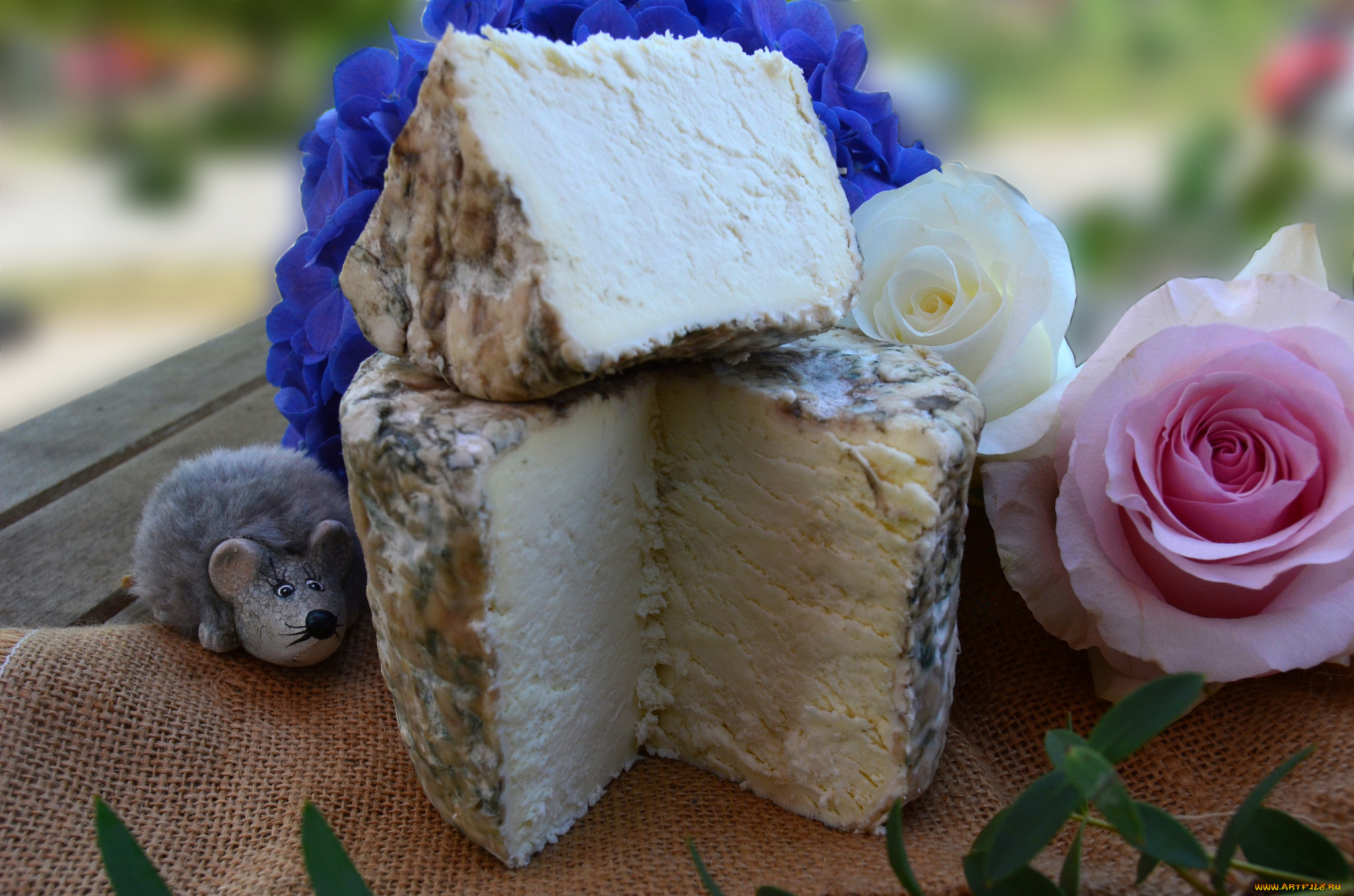 еда, сырные, изделия, сыр