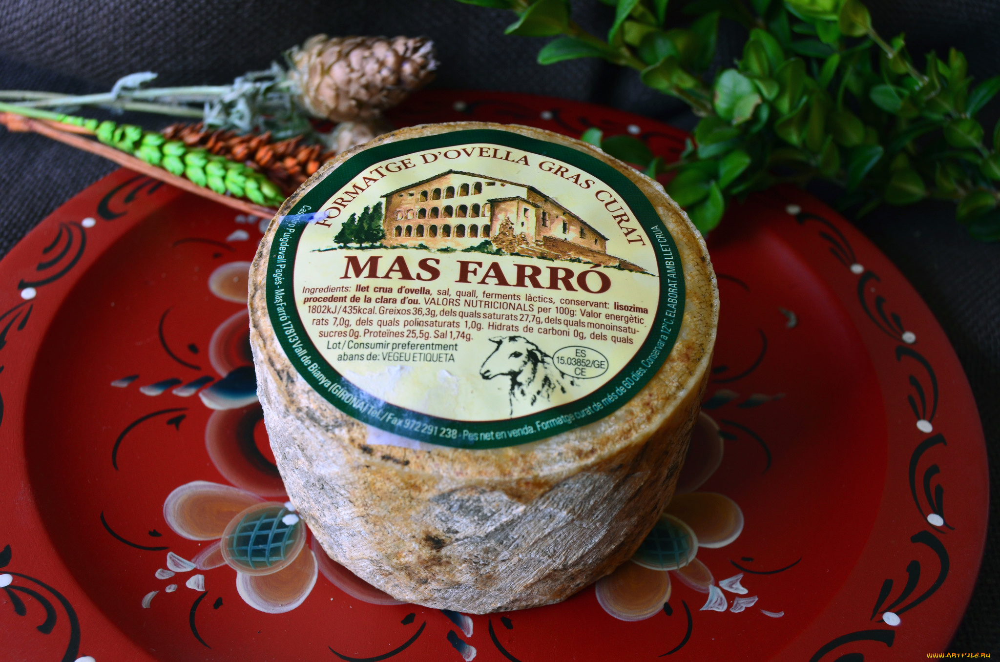 еда, сырные, изделия, сыр