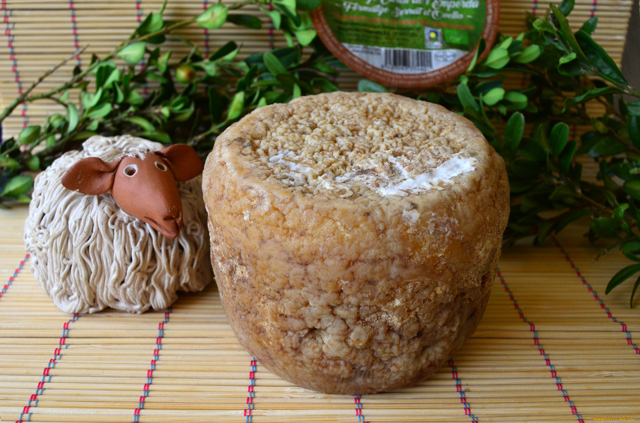 еда, сырные, изделия, сыр