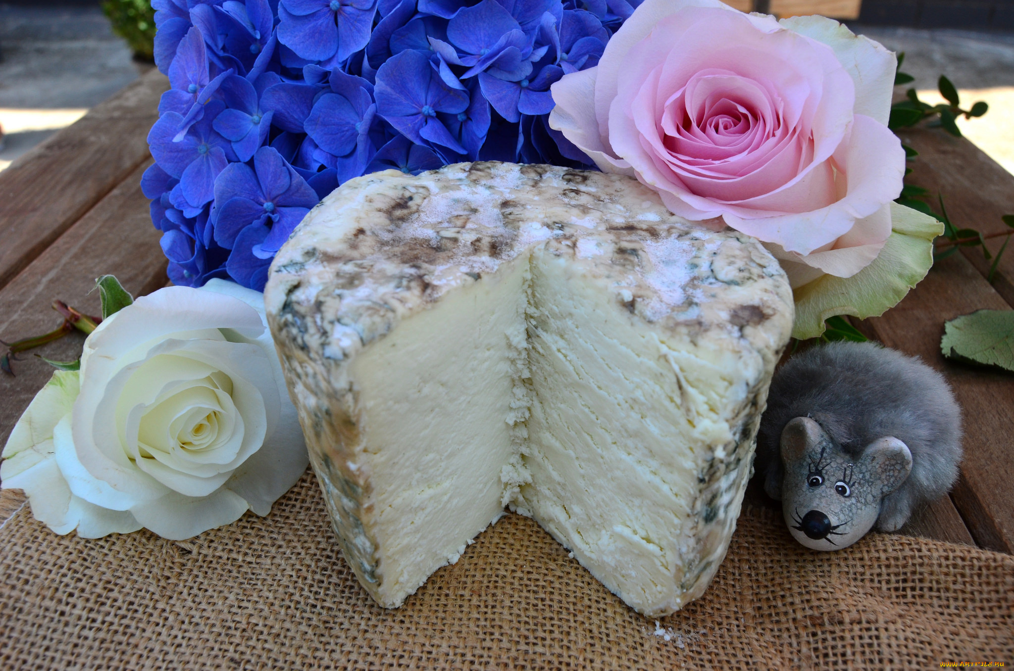 еда, сырные, изделия, сыр