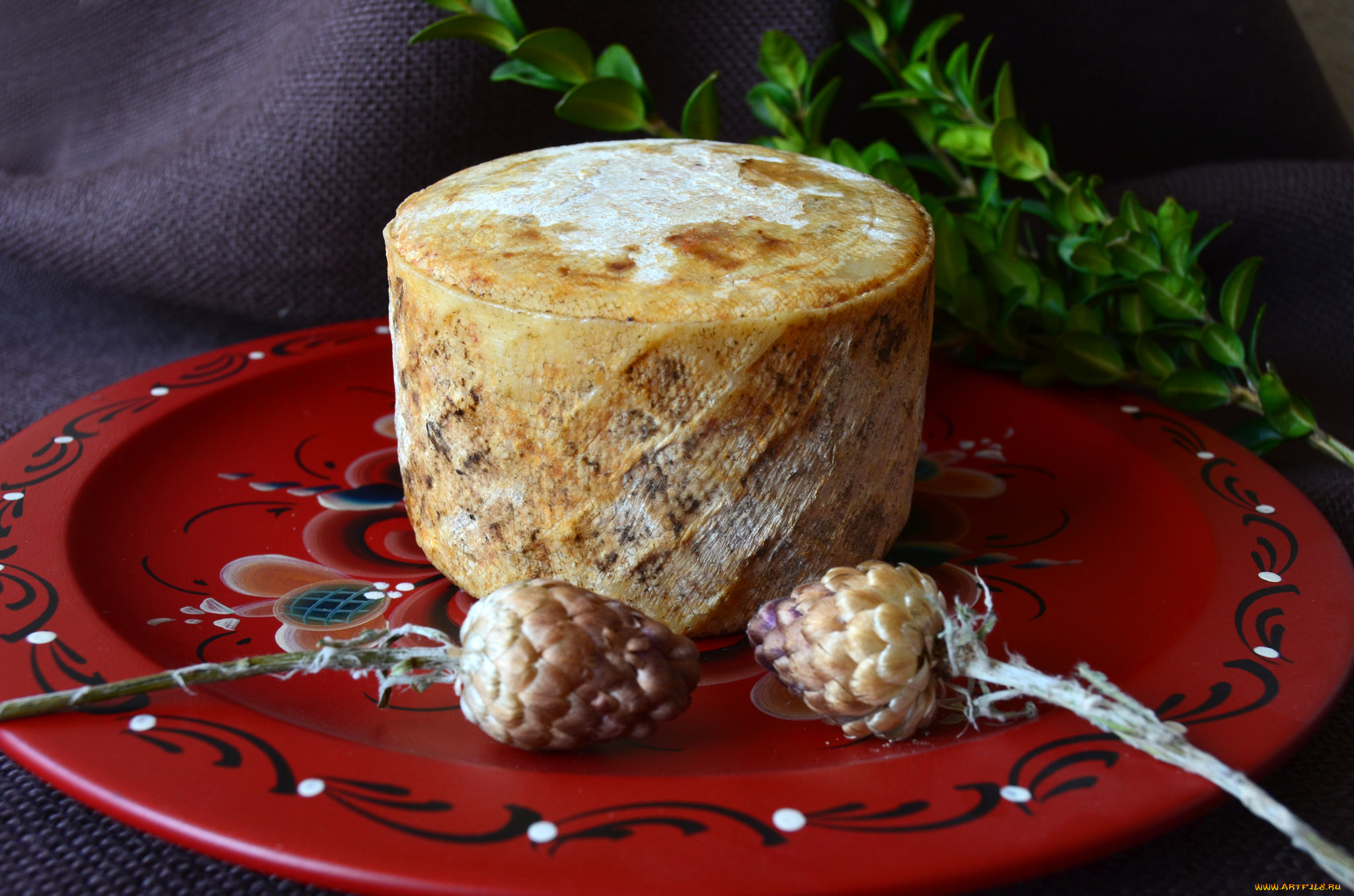 еда, сырные, изделия, сыр