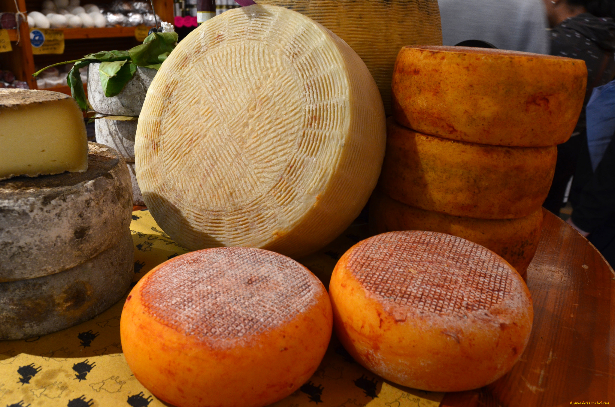 еда, сырные, изделия, сыр