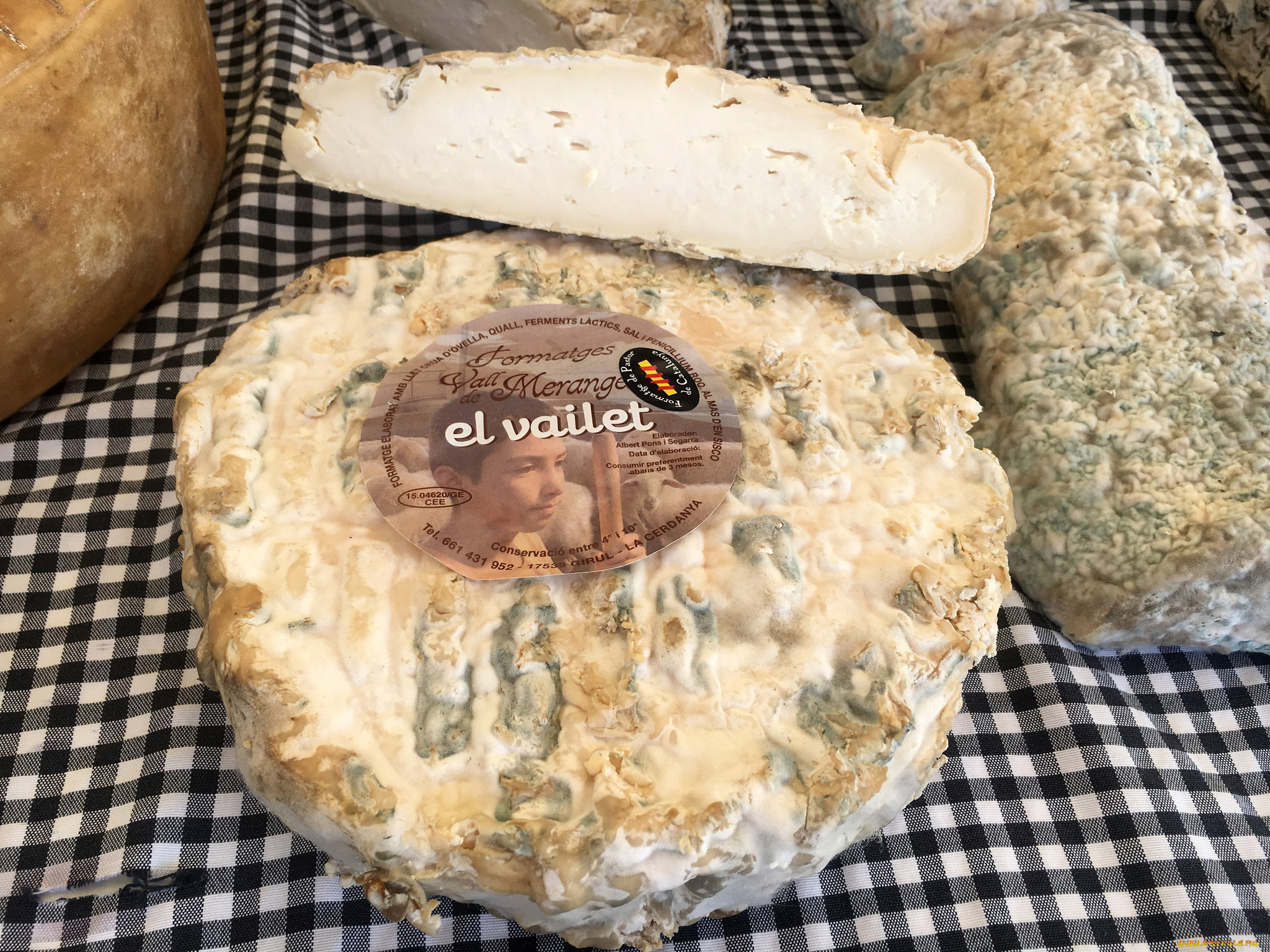 еда, сырные, изделия, сыр