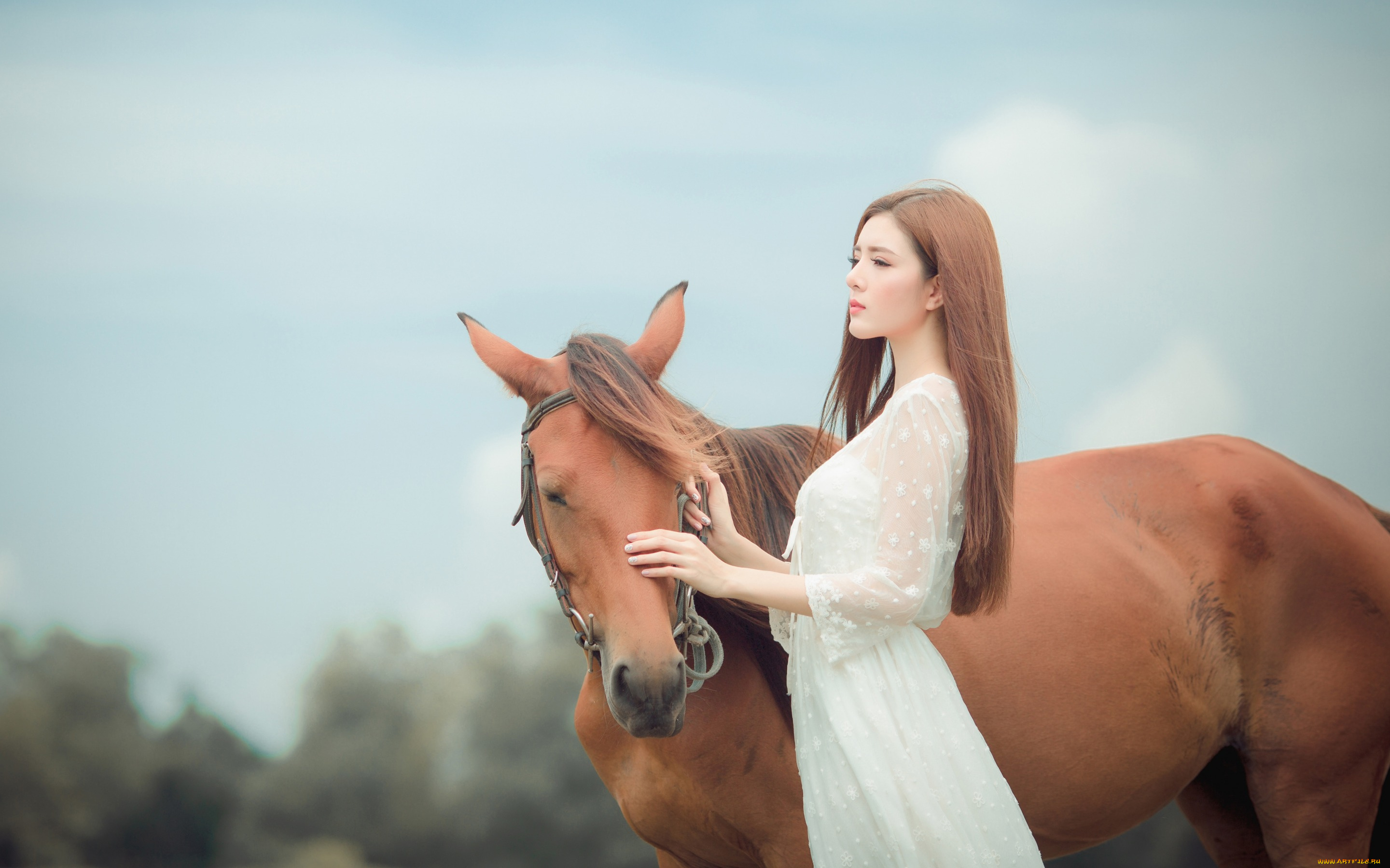 девушки, -unsort, , азиатки, изящная, длинноволосая, гнедой, вгляд, лицо, настроение, конь, лошадь, дружба, шатенка, азиатка, белое, платье, взгляд, морда, девушка, природа, небо