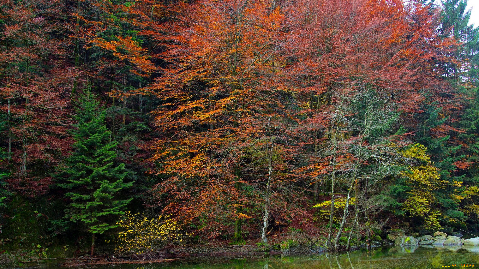природа, реки, озера, лес, осень, деревья, озеро