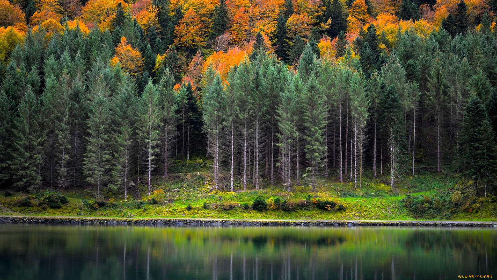 природа, реки, озера, лес, осень, озеро
