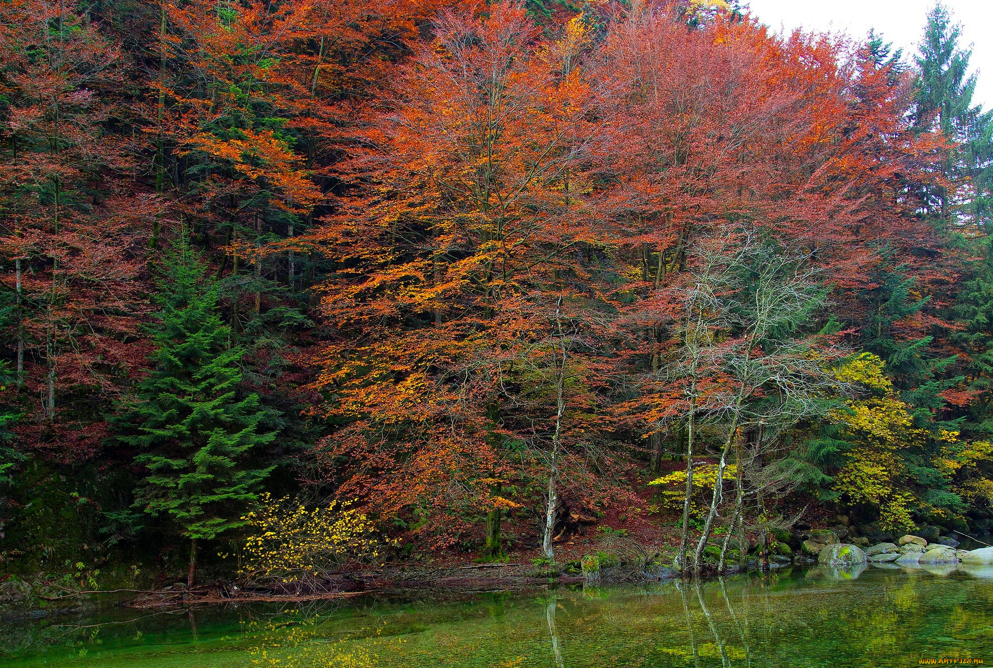 природа, реки, озера, лес, осень, деревья, озеро