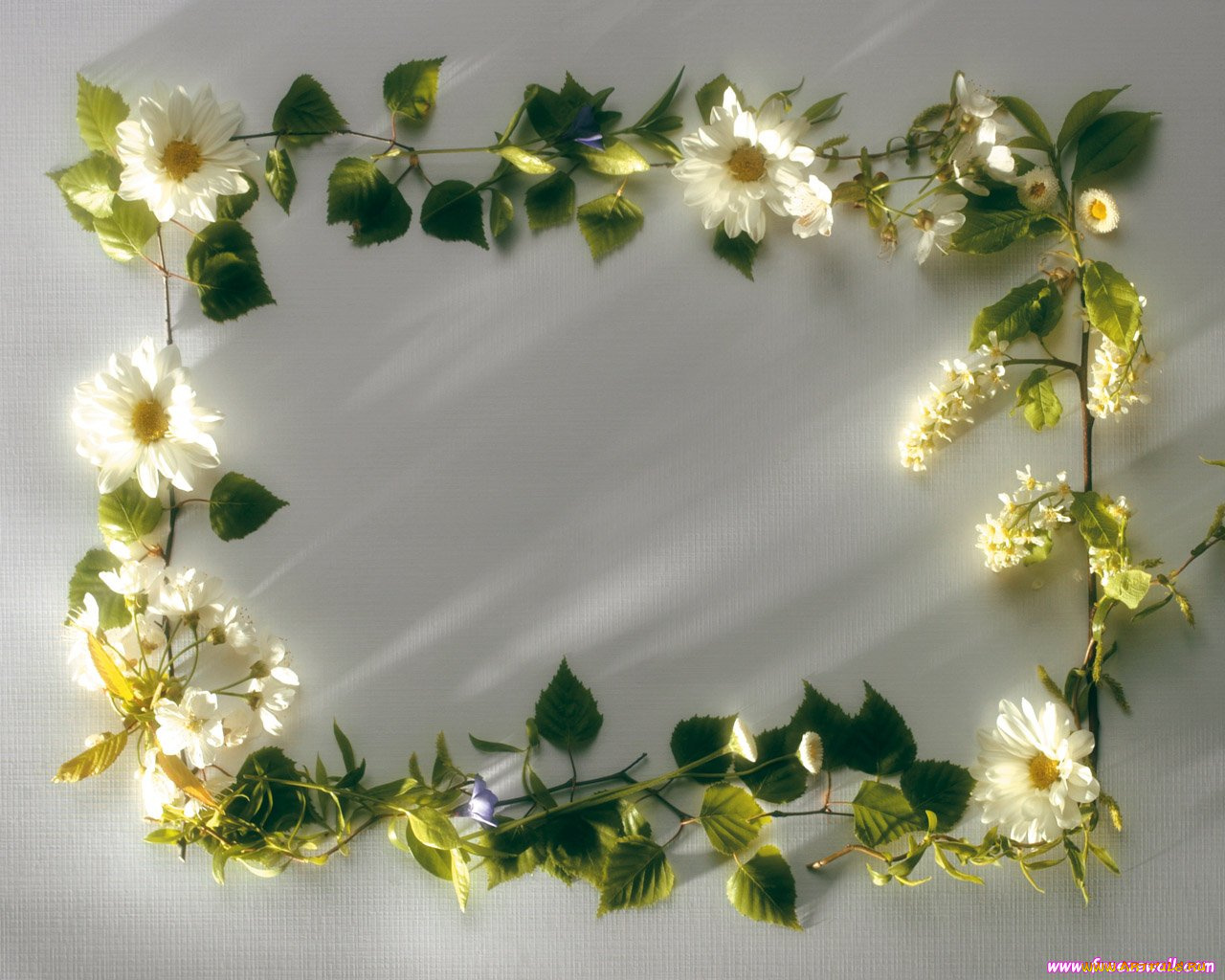 цветы, букеты, композиции