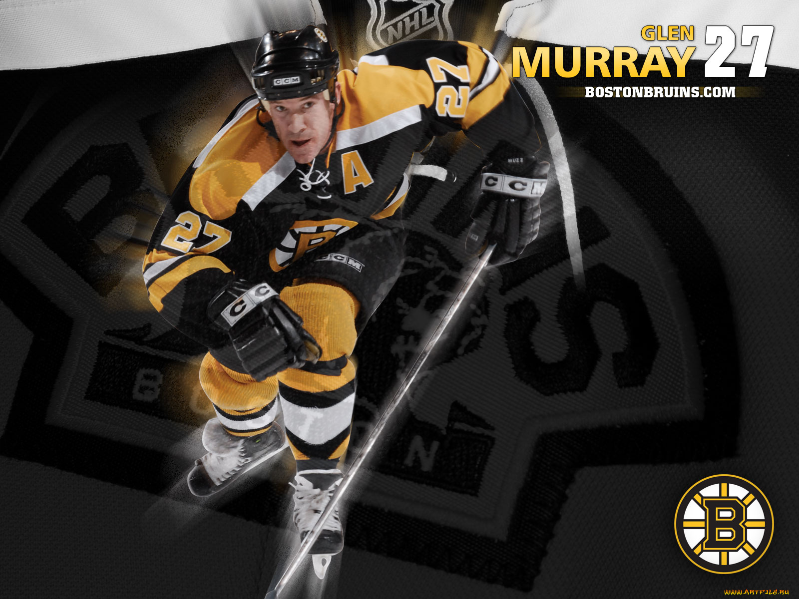 murray, спорт, nhl