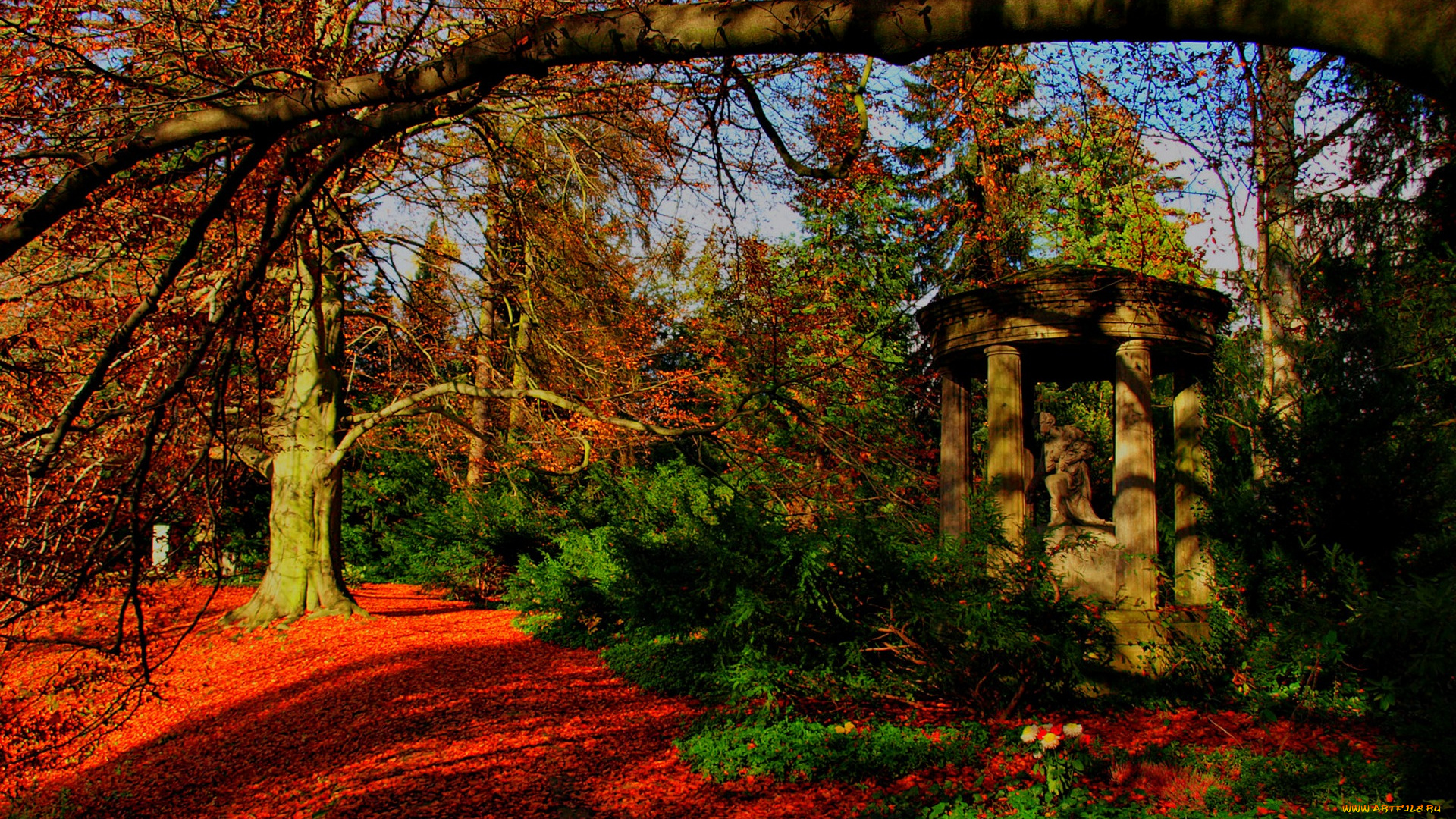 природа, парк