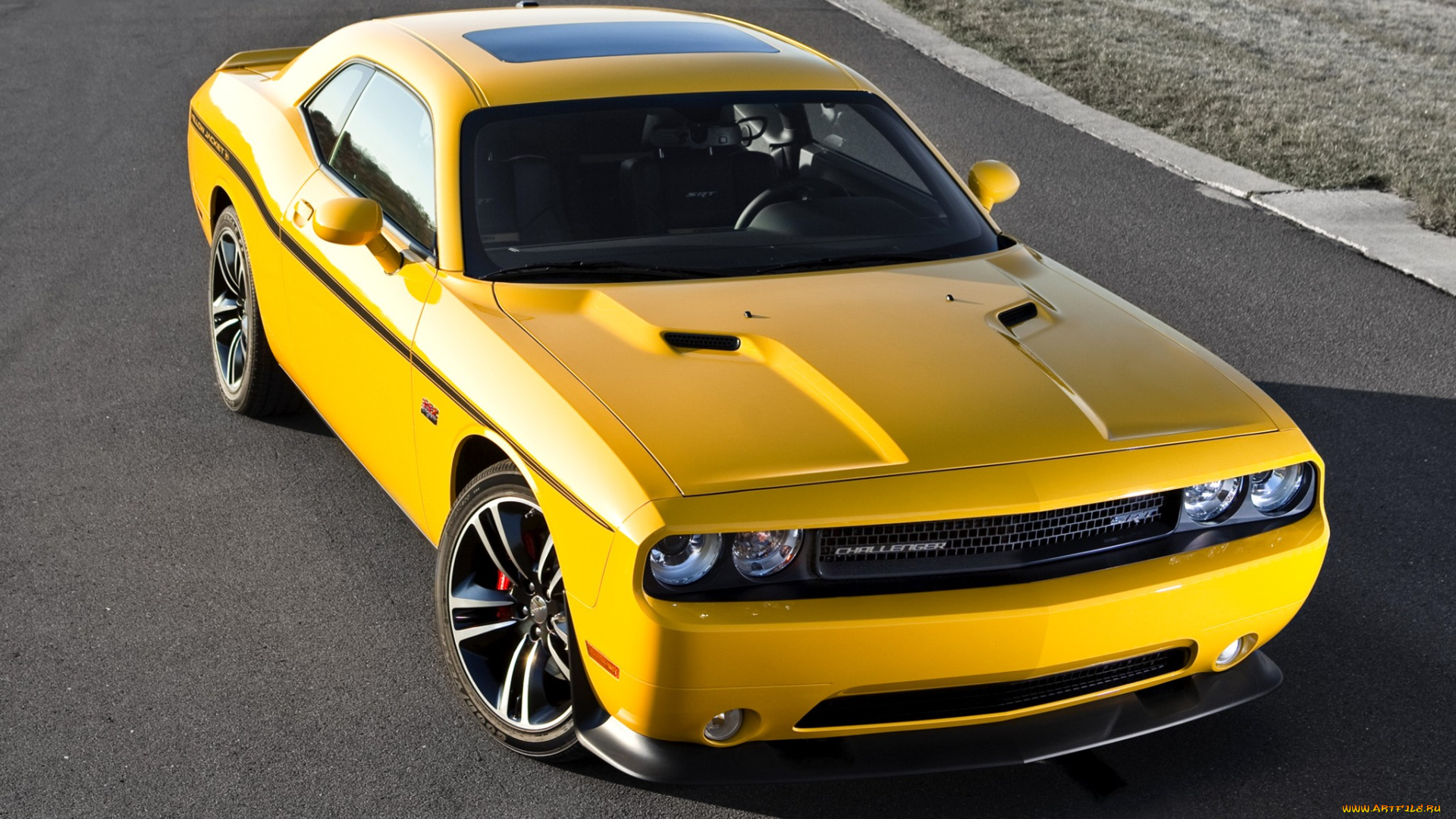 dodge, challenger, srt8, 392, yellow, jacket, автомобили, bird