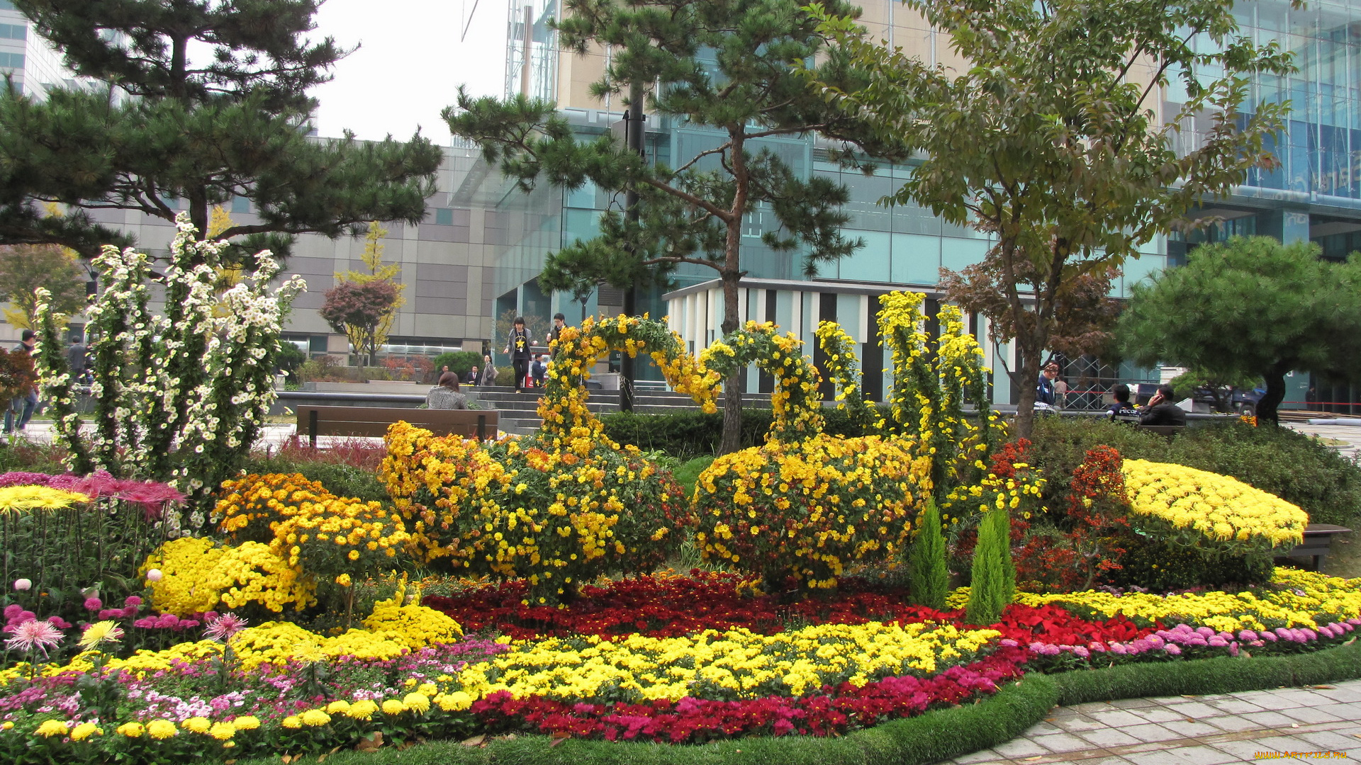 города, другое, цветы, клумба, здания, деревья