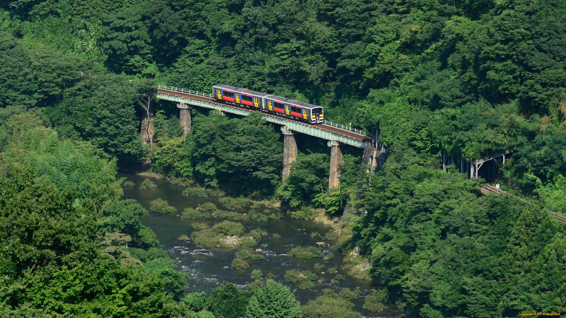 техника, вагоны, лес, мост, река