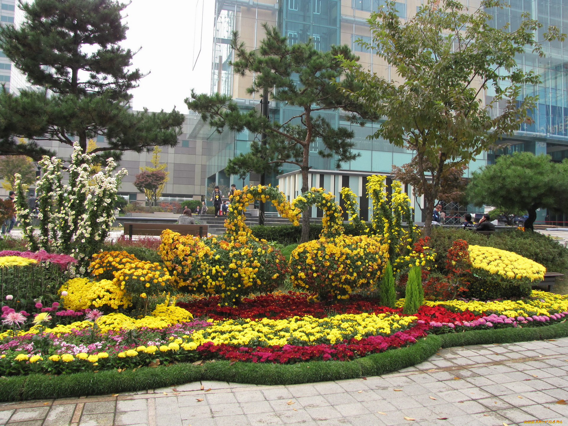 города, другое, цветы, клумба, здания, деревья