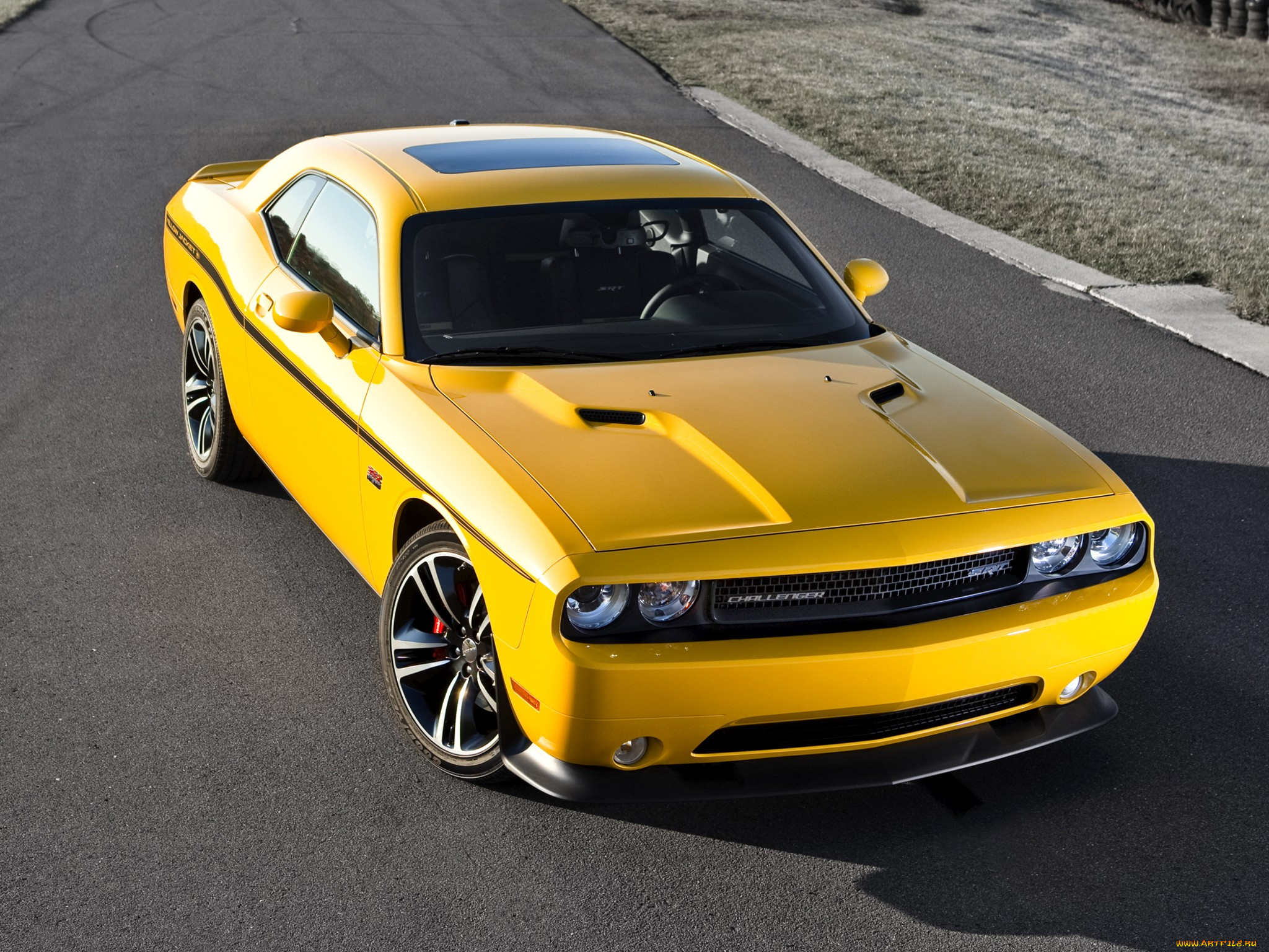 dodge, challenger, srt8, 392, yellow, jacket, автомобили, bird