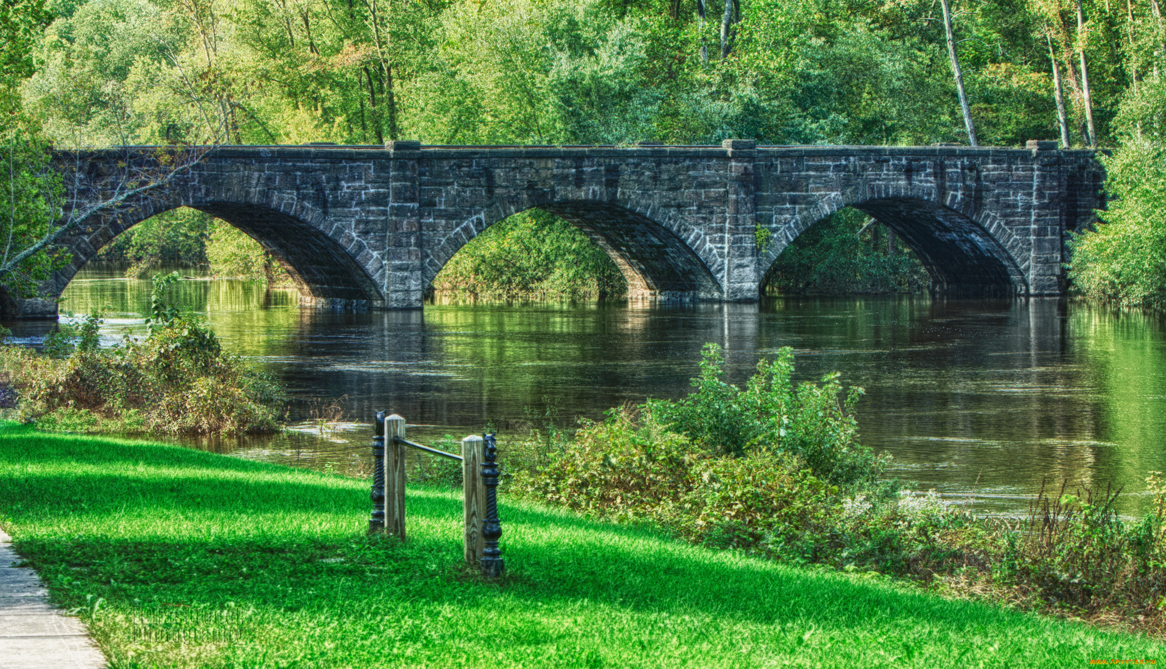 природа, реки, озера, лес, река