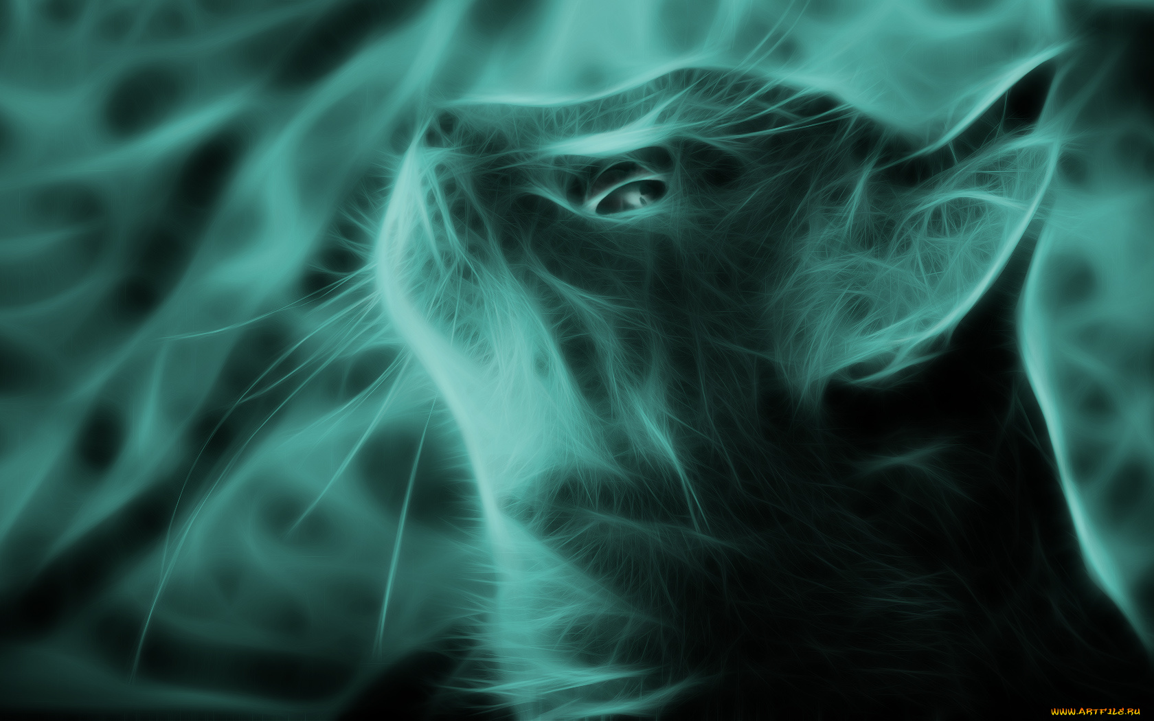 3д, графика, animals, животные, кот