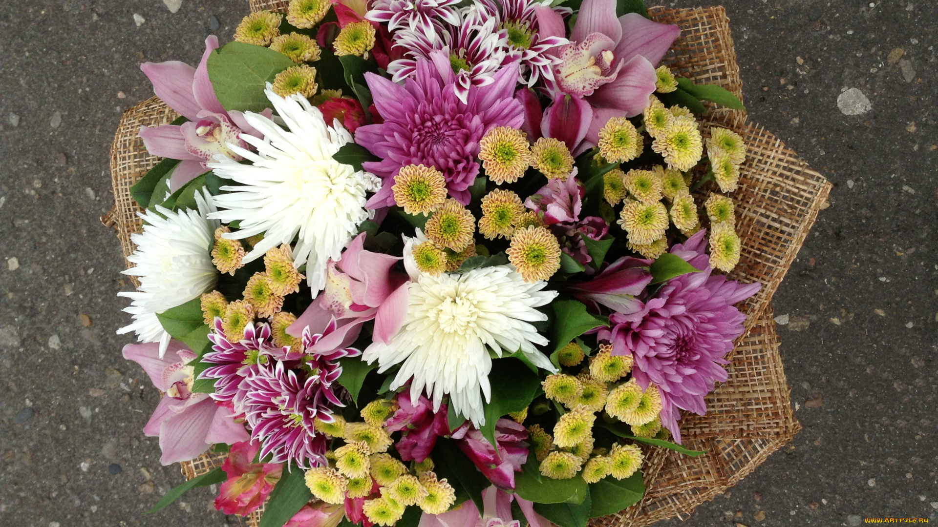 цветы, букеты, композиции, альстромерии, букет, хризантемы, орхидеи