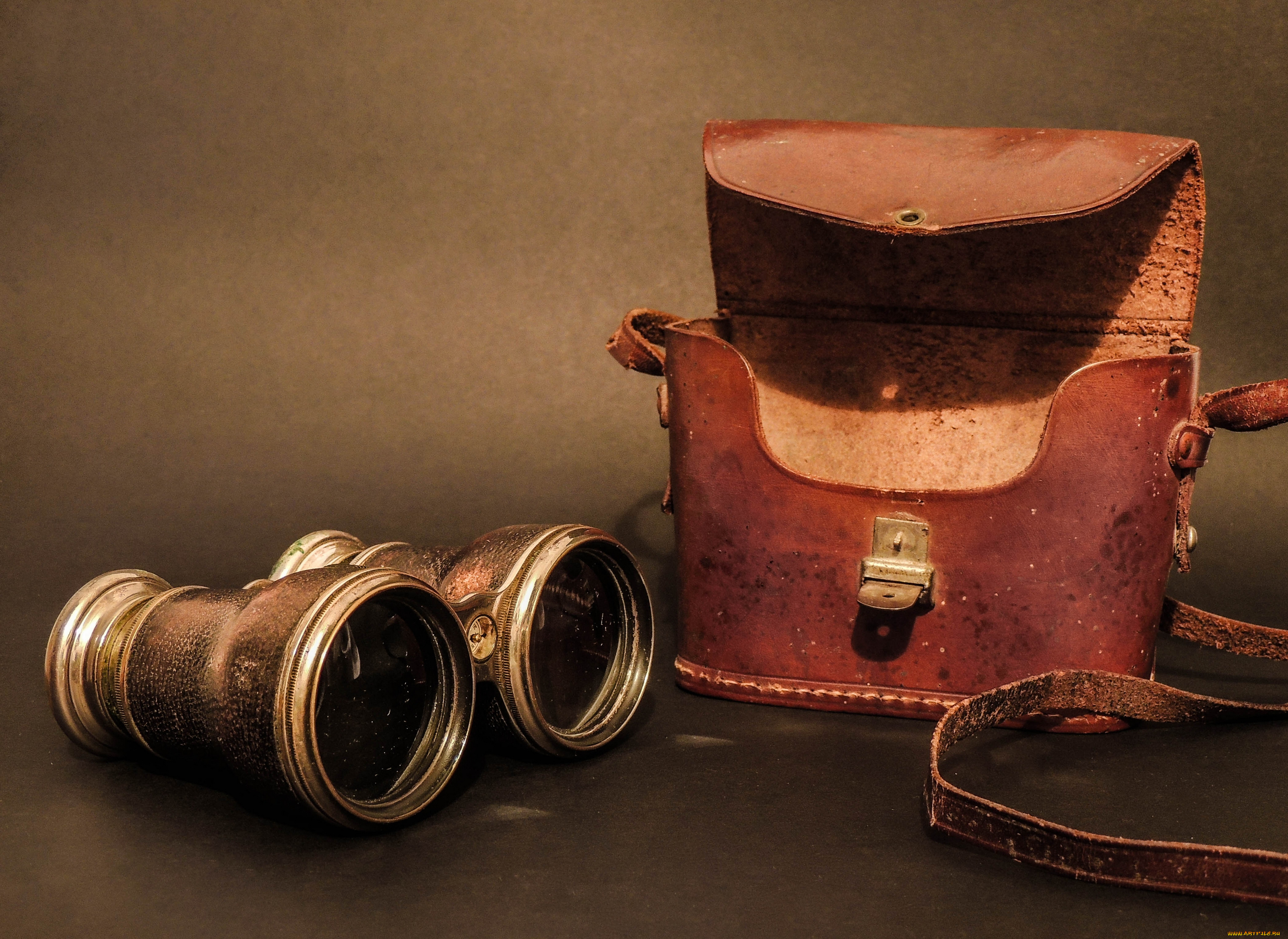 разное, другое, футляр, бинокль
