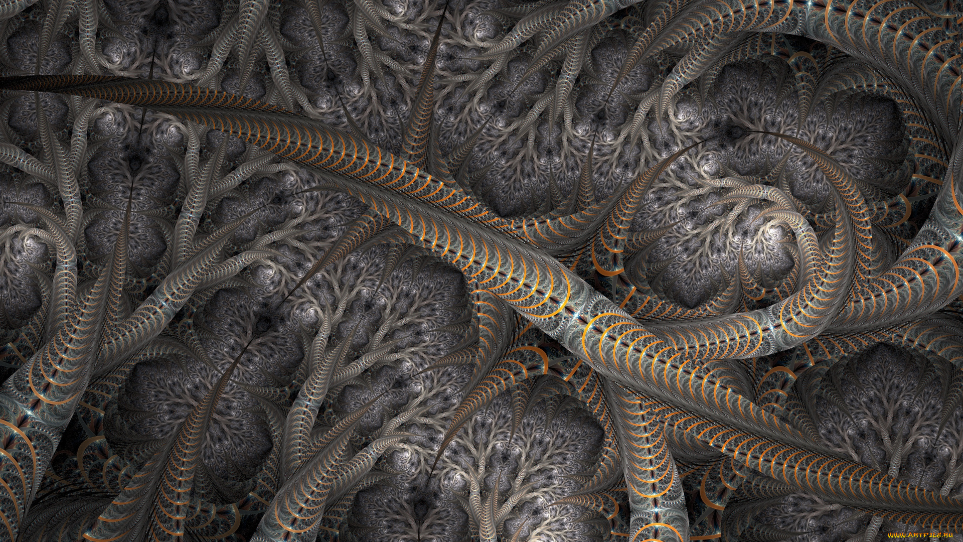 3д, графика, фракталы, , fractal, цвета, фон, узор