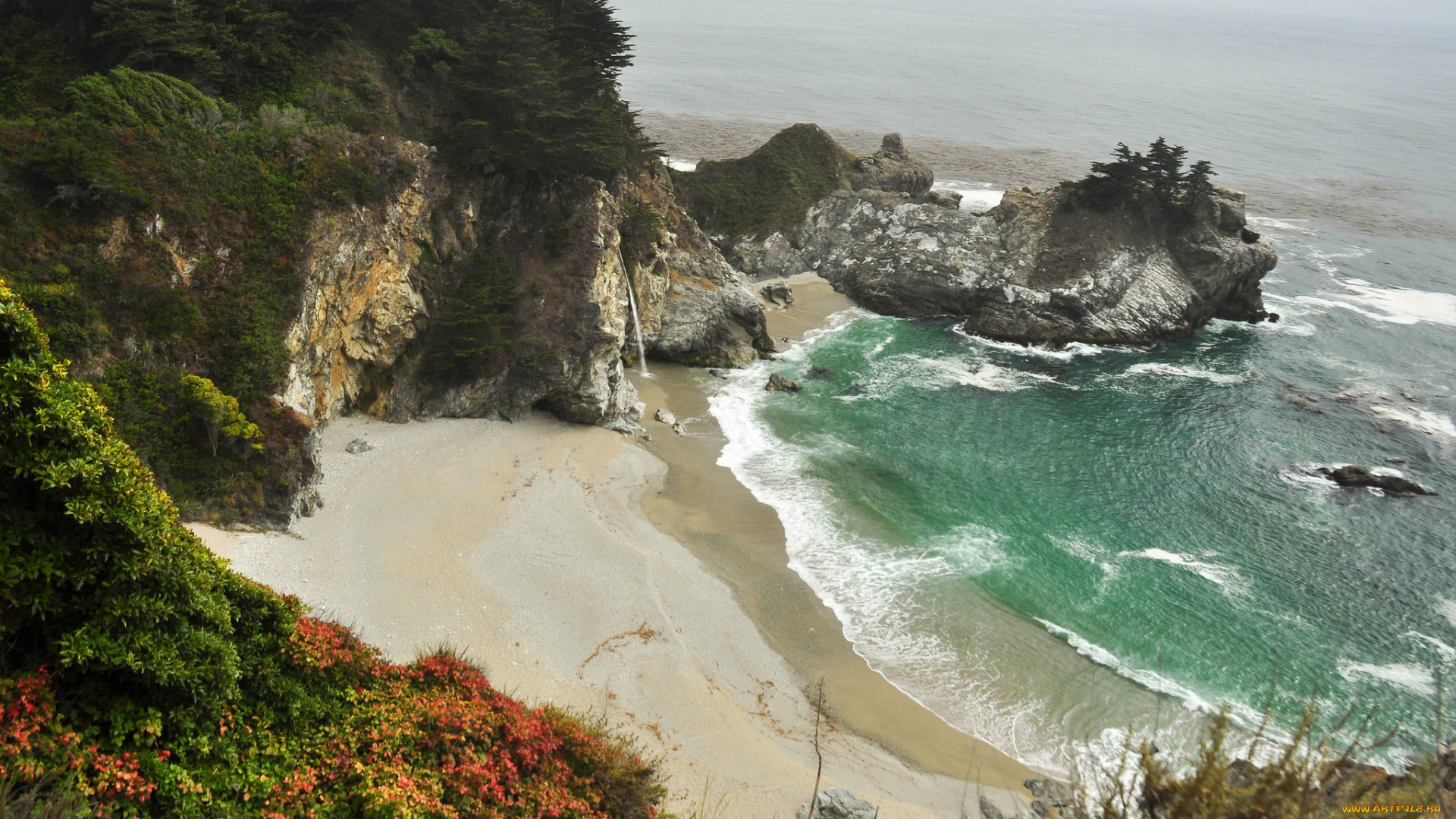 природа, побережье, растения, вода, море, скалы, берег