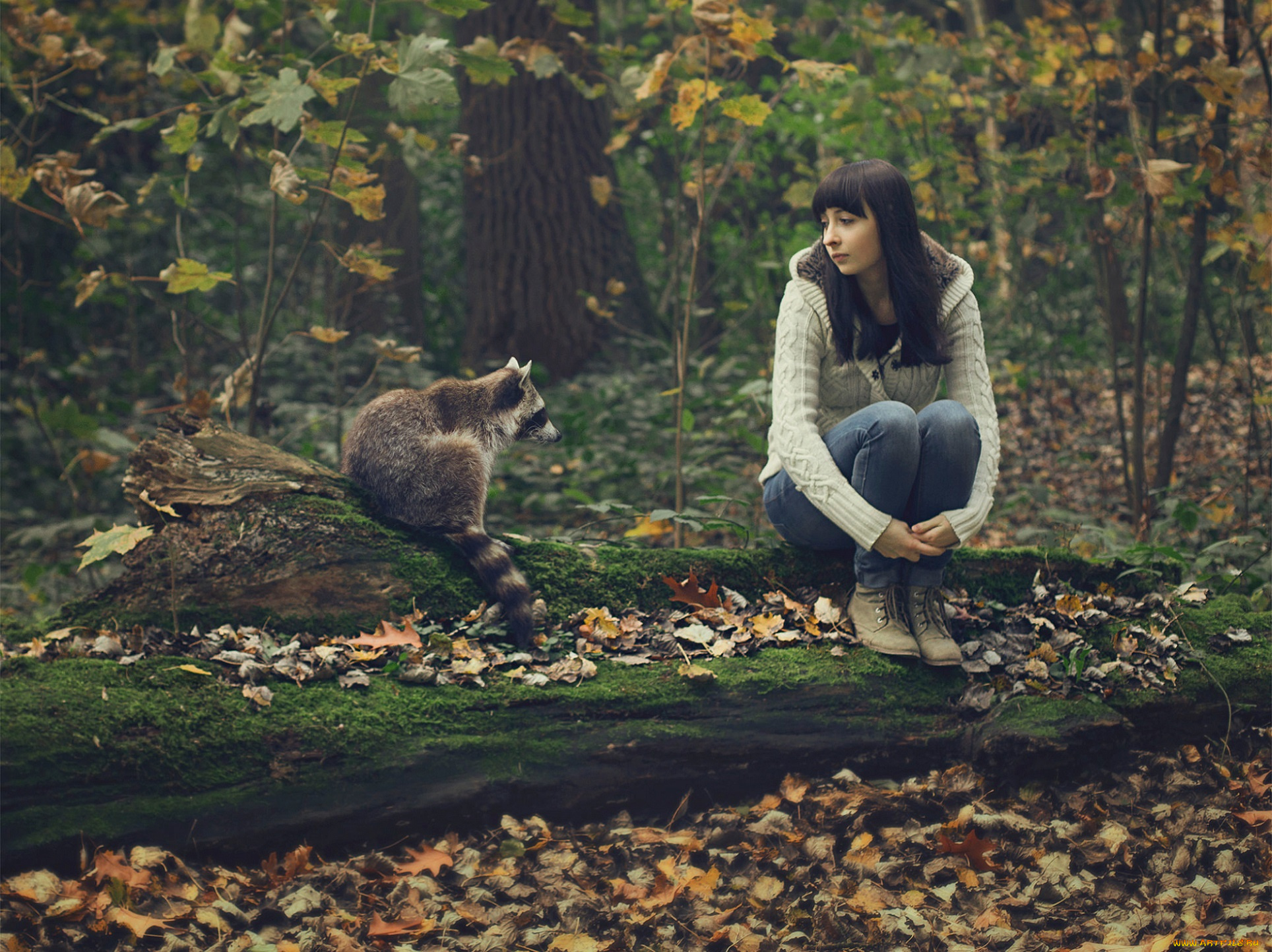 девушки, -unsort, , брюнетки, , шатенки, компания, лес, девушка, енот