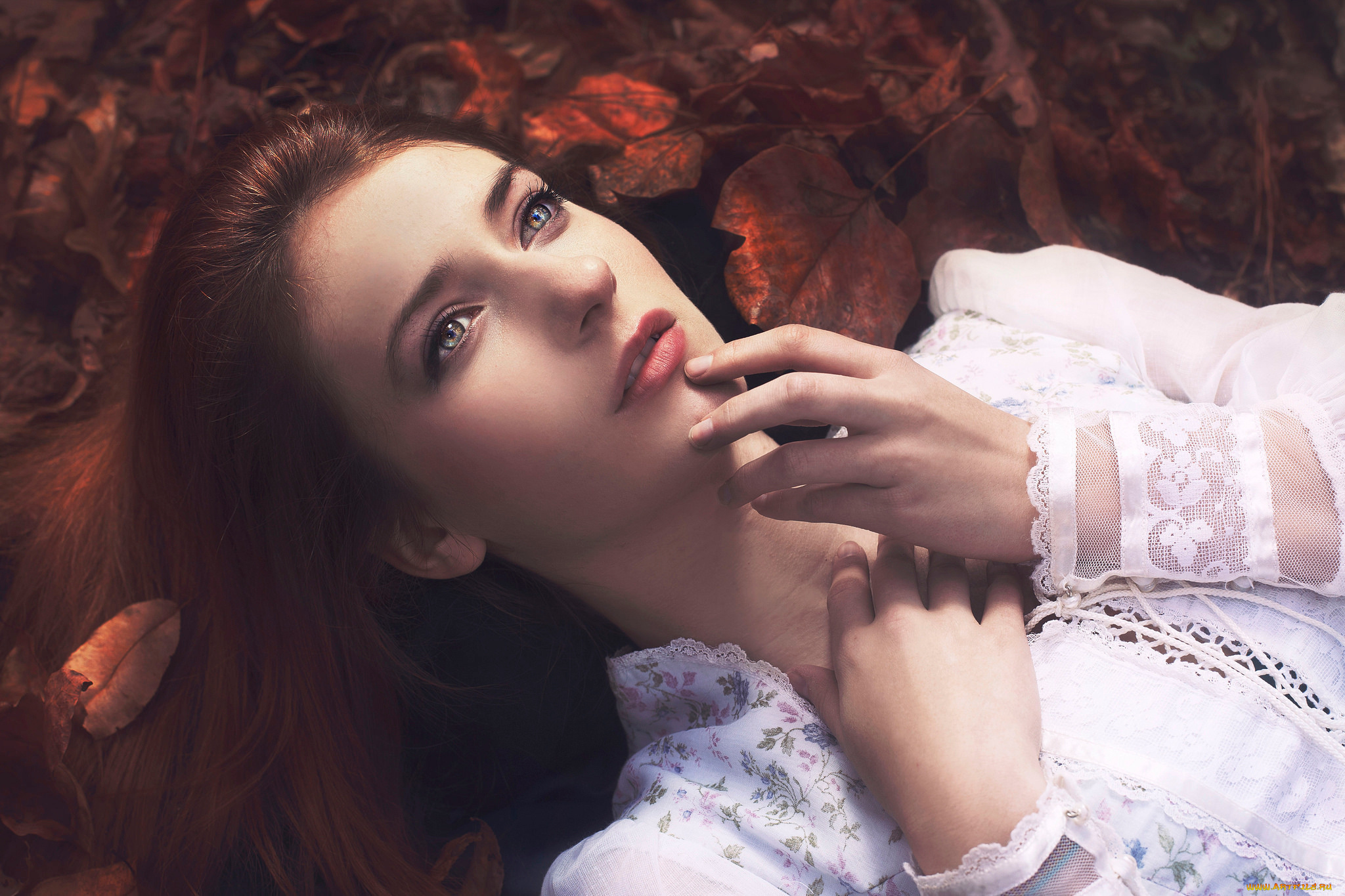 девушки, -unsort, , лица, , портреты, листья, взгляд, портрет, autumnial, light, осень