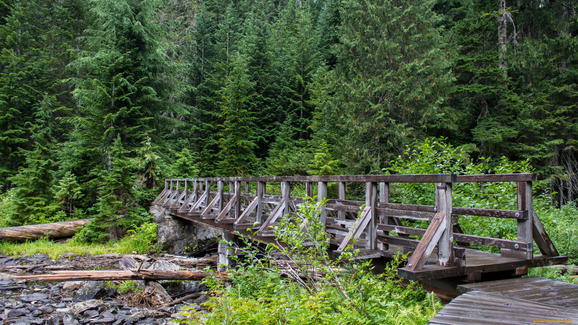 природа, дороги, мостик, лес