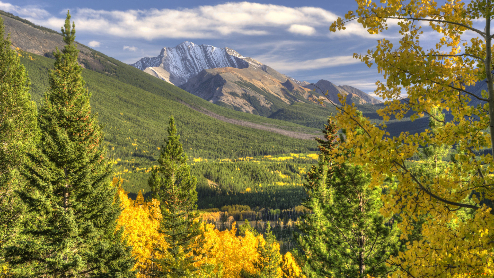 природа, горы, лес