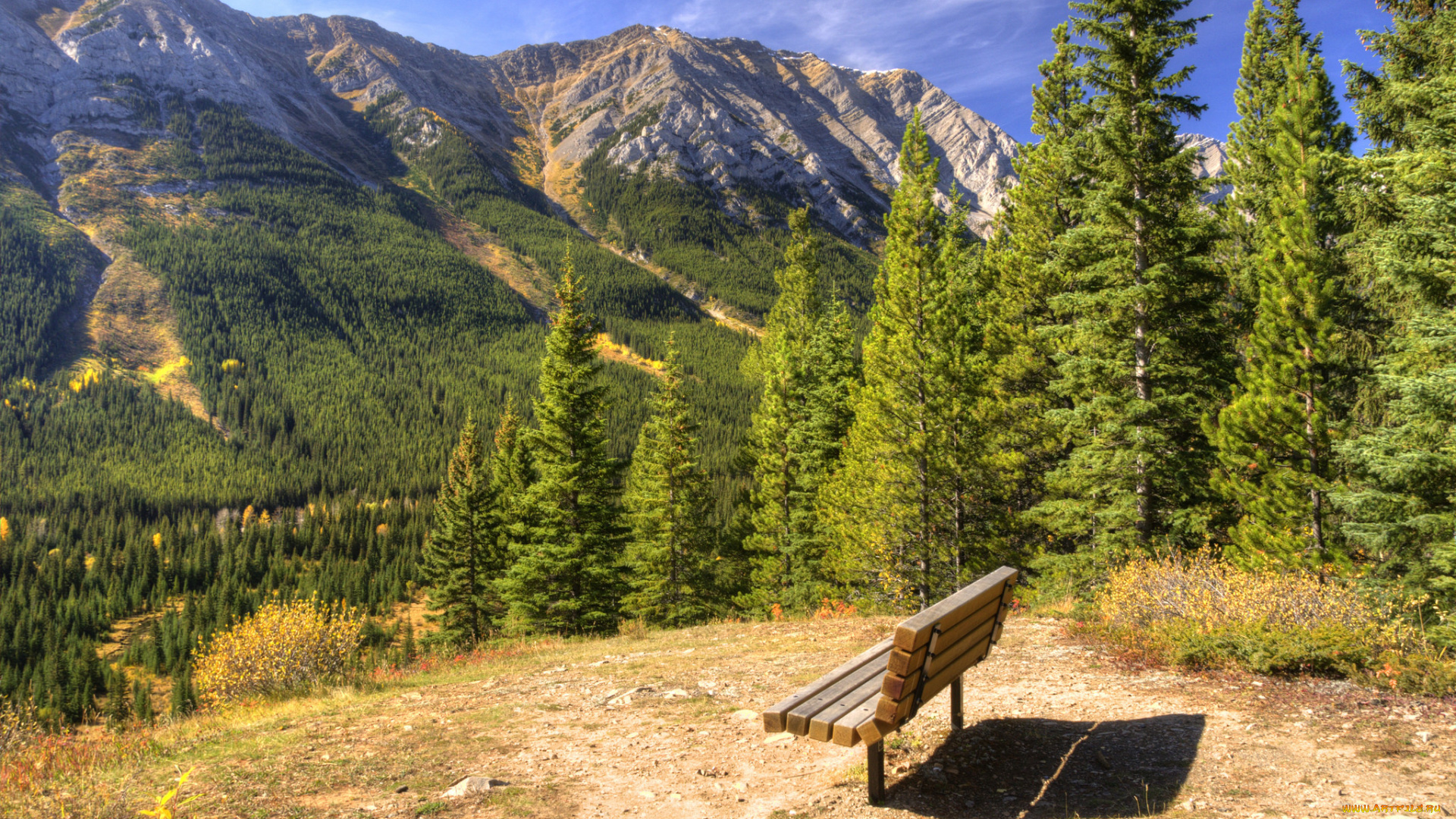 природа, горы, лес, река