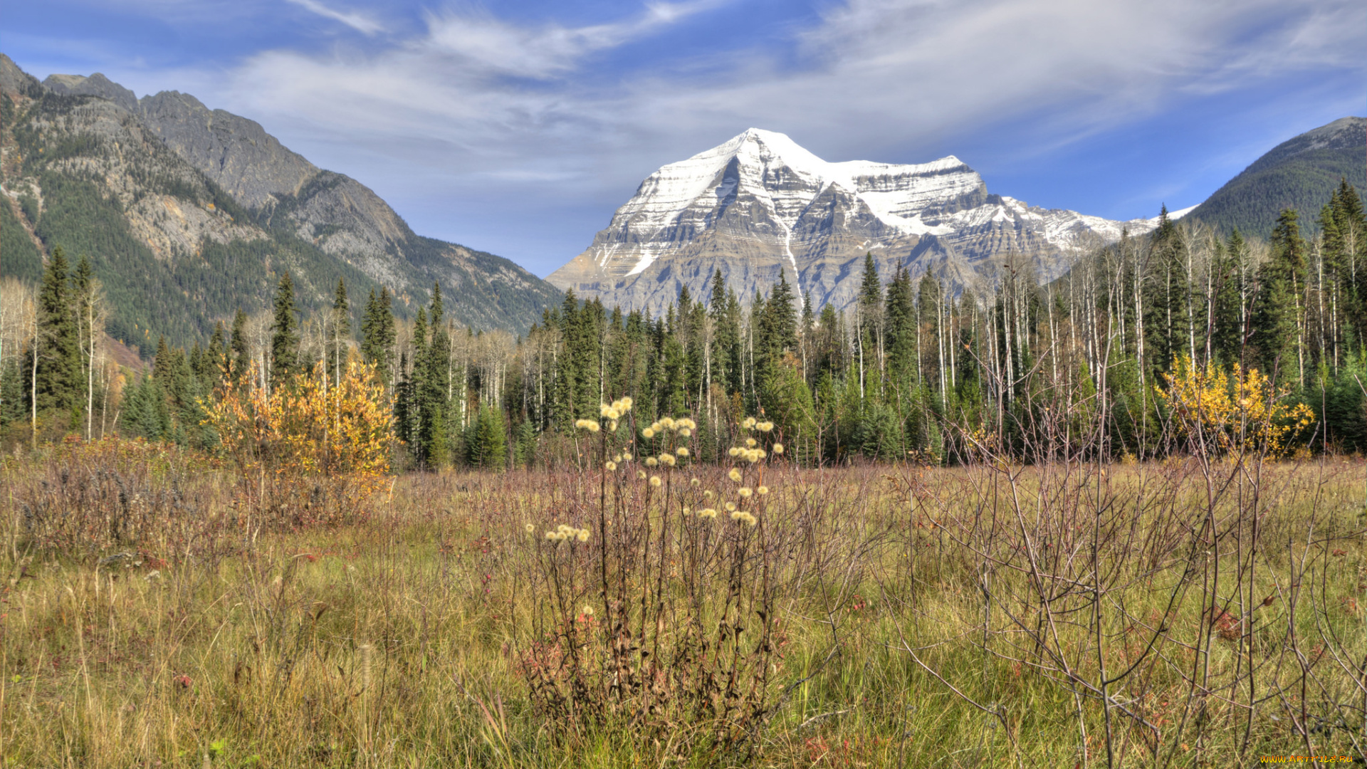 природа, пейзажи, лес, горы