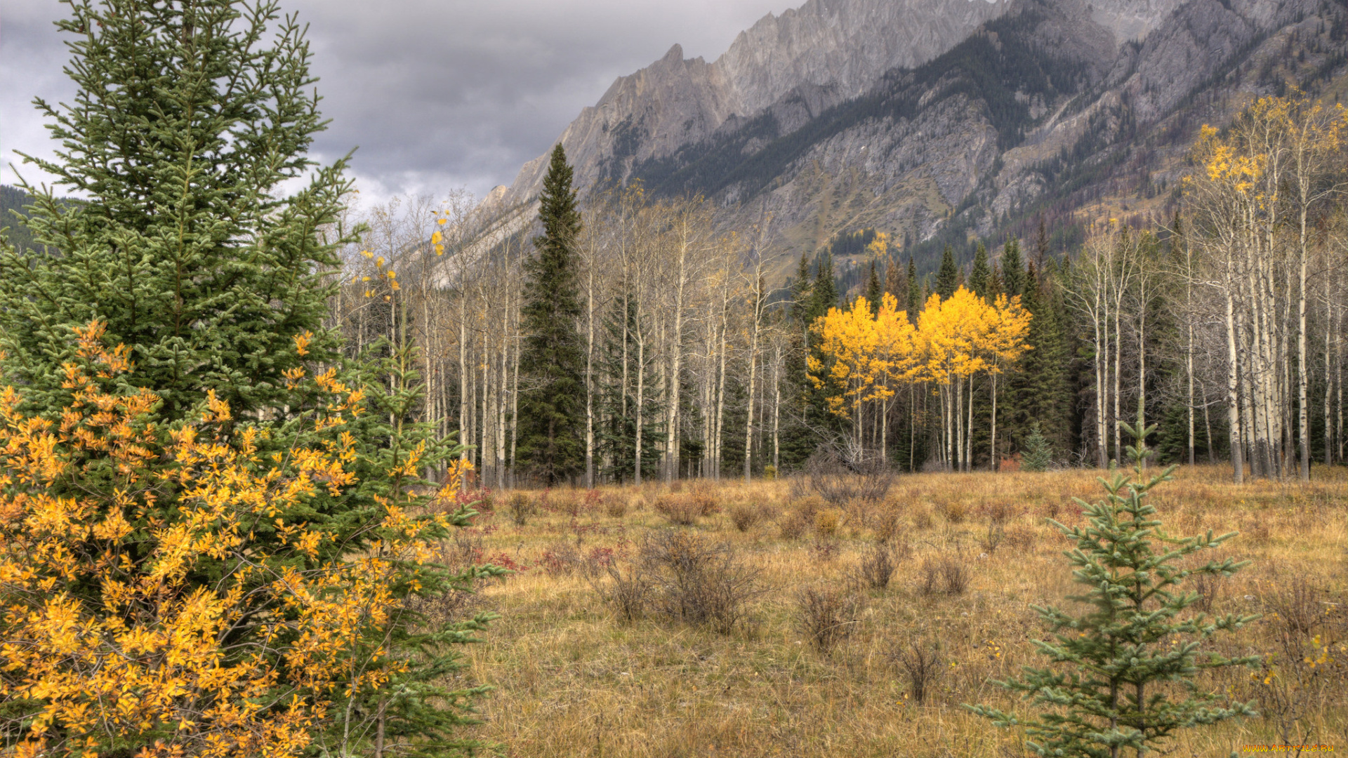 природа, пейзажи, лес, горы