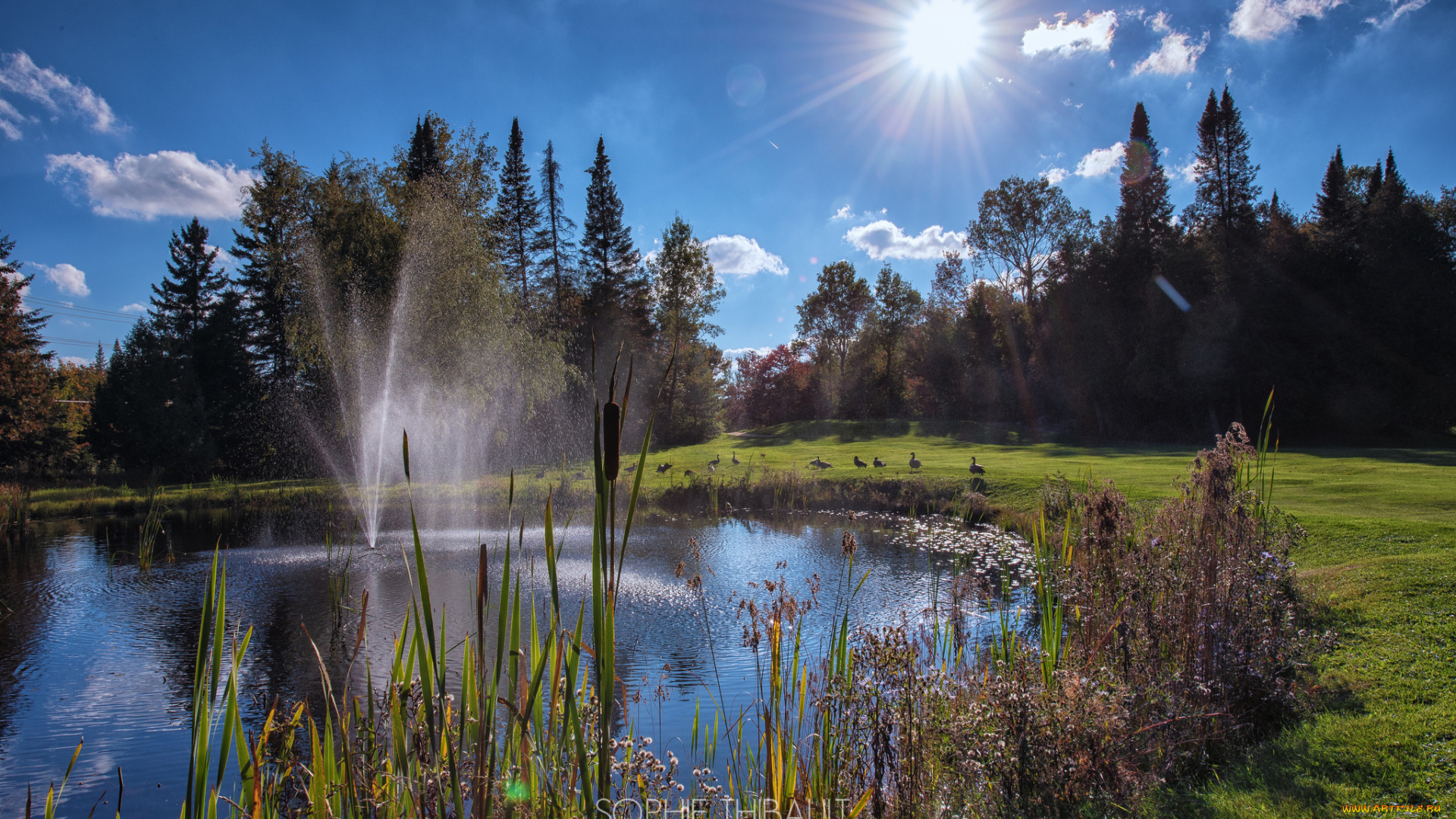 природа, реки, озера, фонтан, парк, озеро, облака, небо