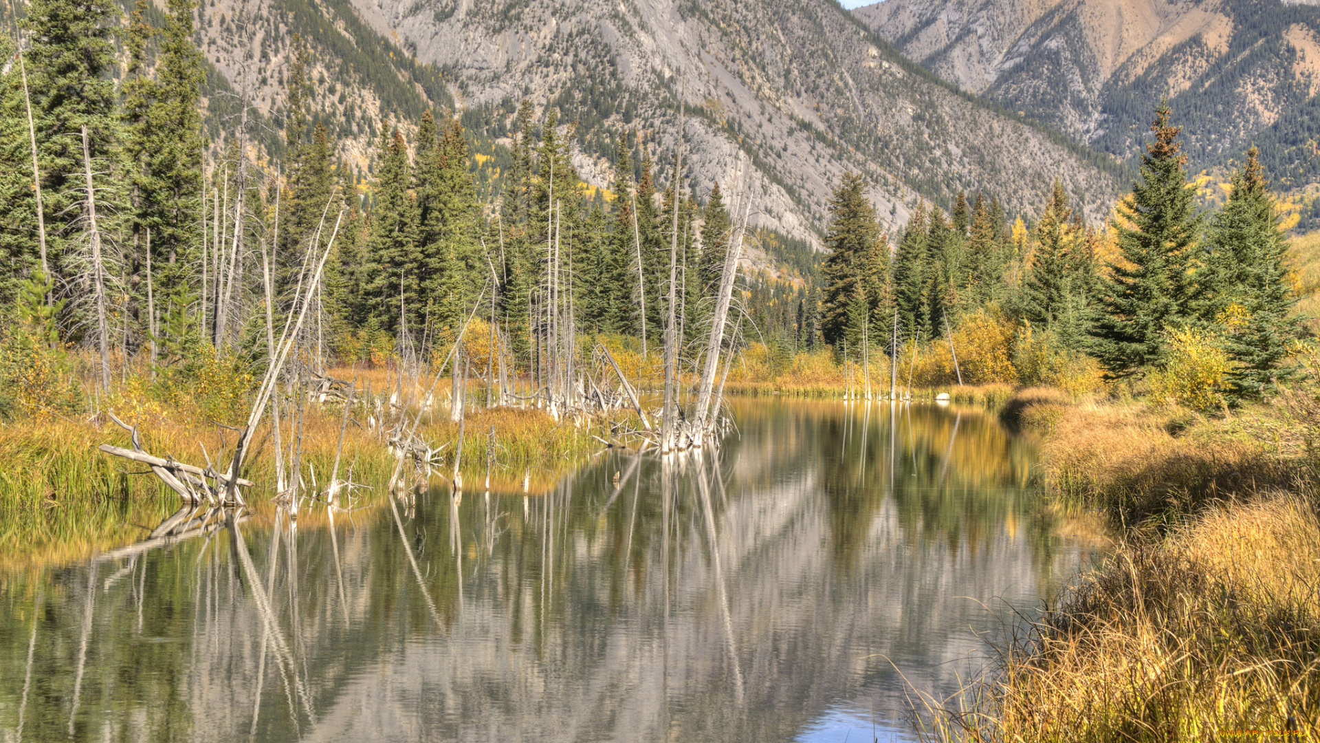 природа, реки, озера, горы, лес, река